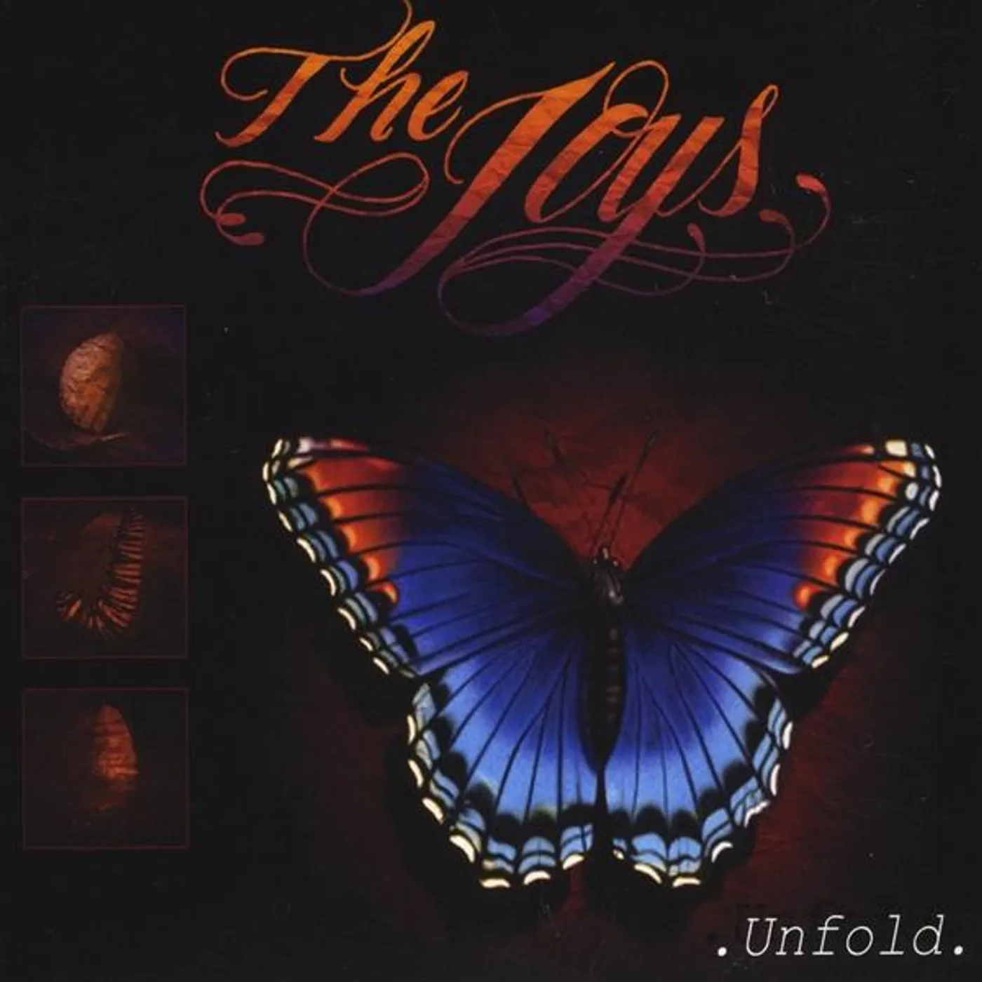 JOYS UNFOLD CD