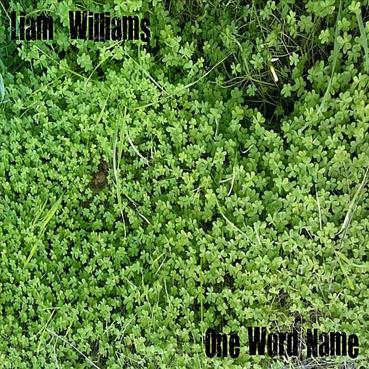 Liam Williams ONE WORD NAME CD