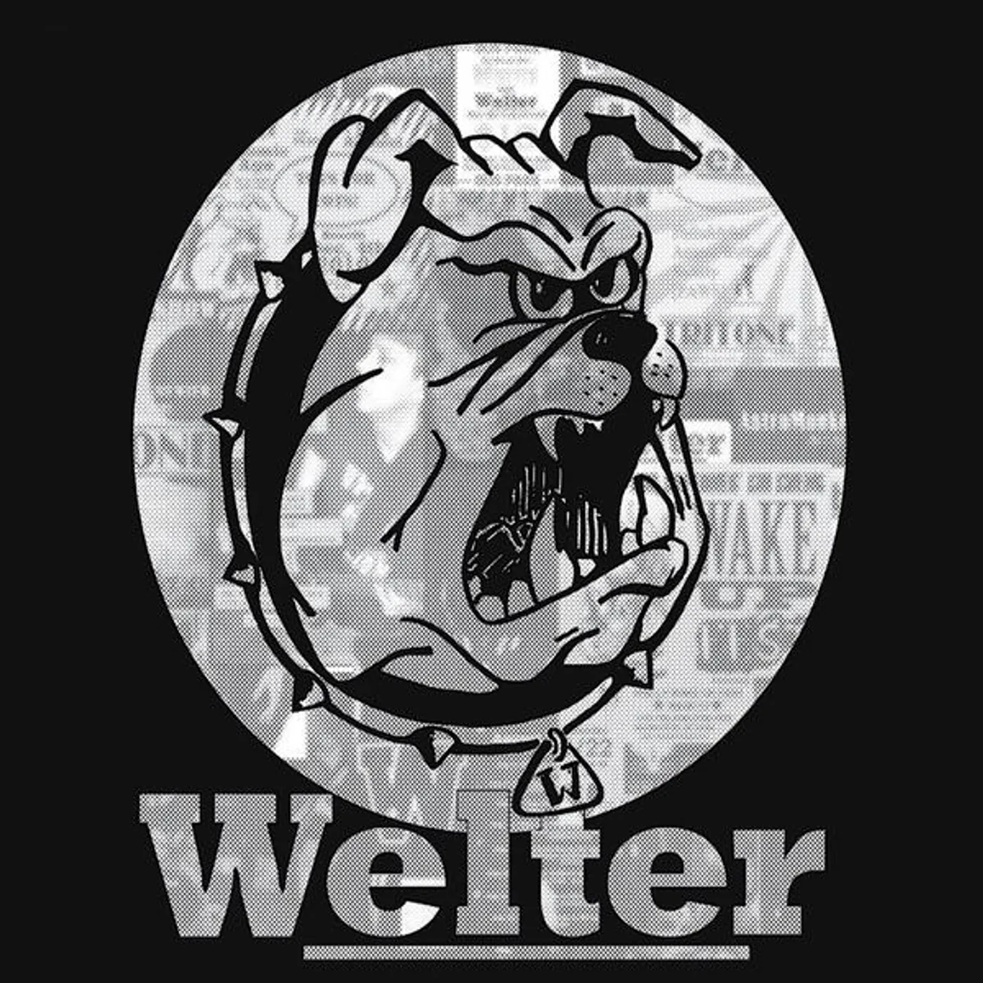 Welter BUSH YEARS CD