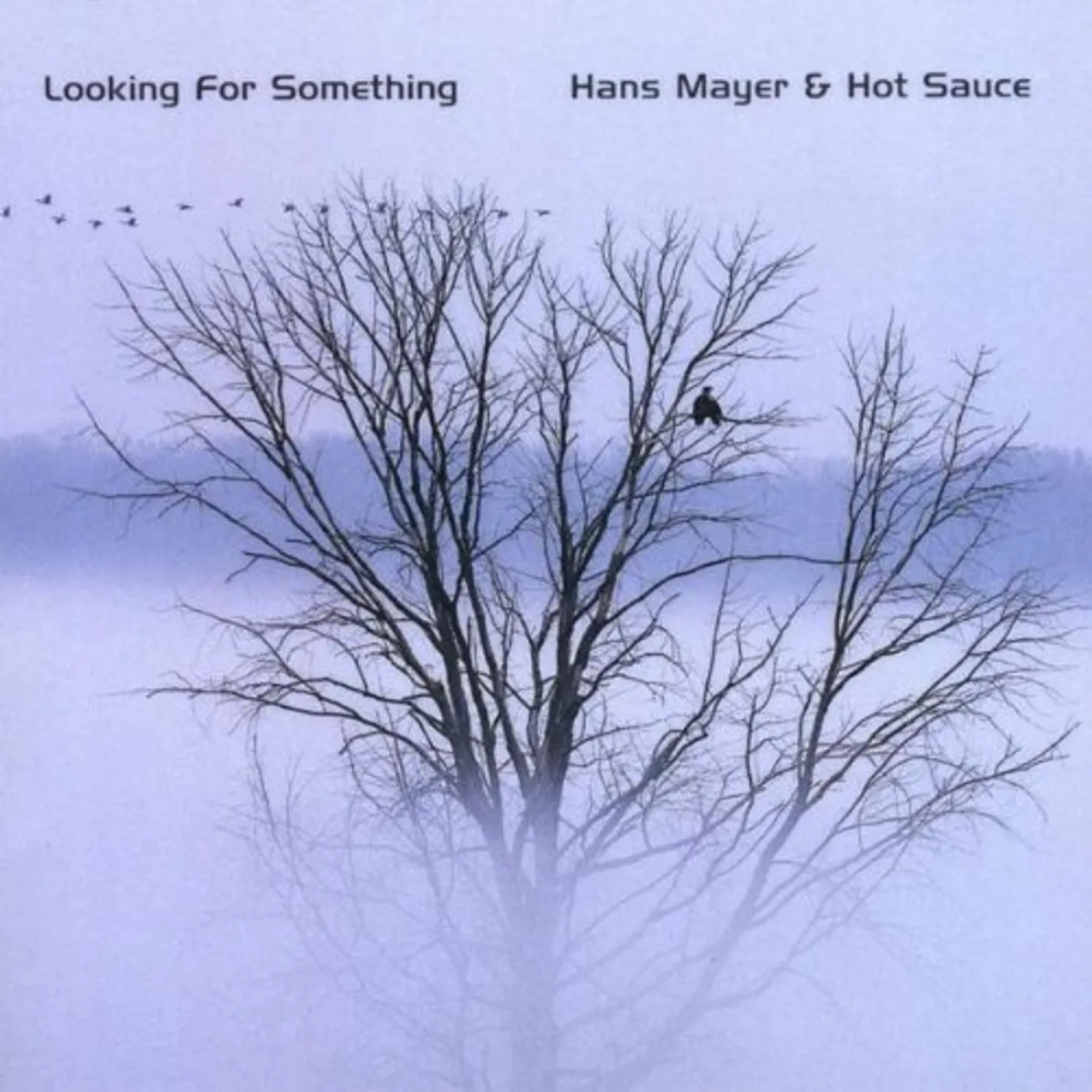 Hans Mayer LOOKING FOR SOMETHING CD