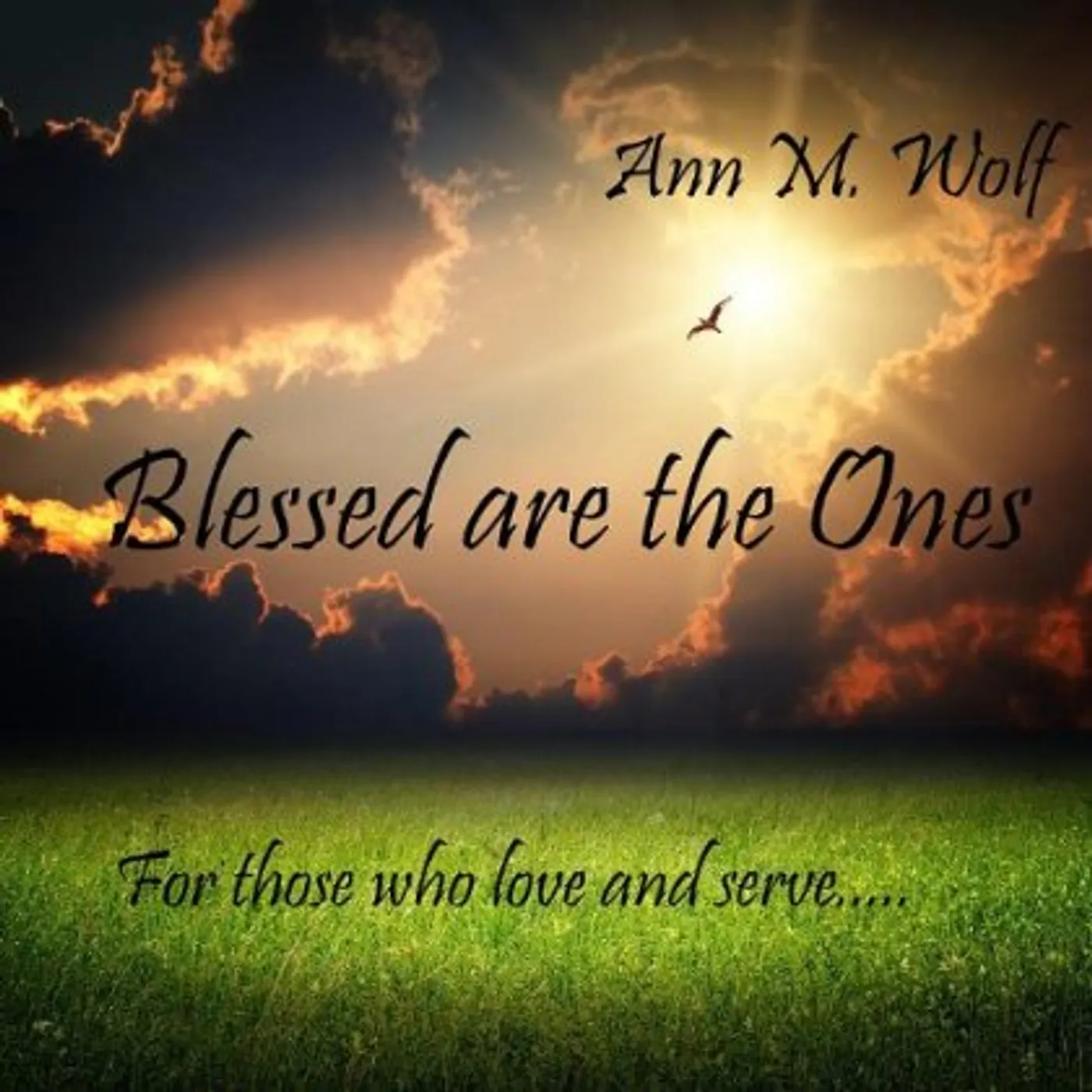 Ann M. Wolf BLESSED ARE THE ONES CD