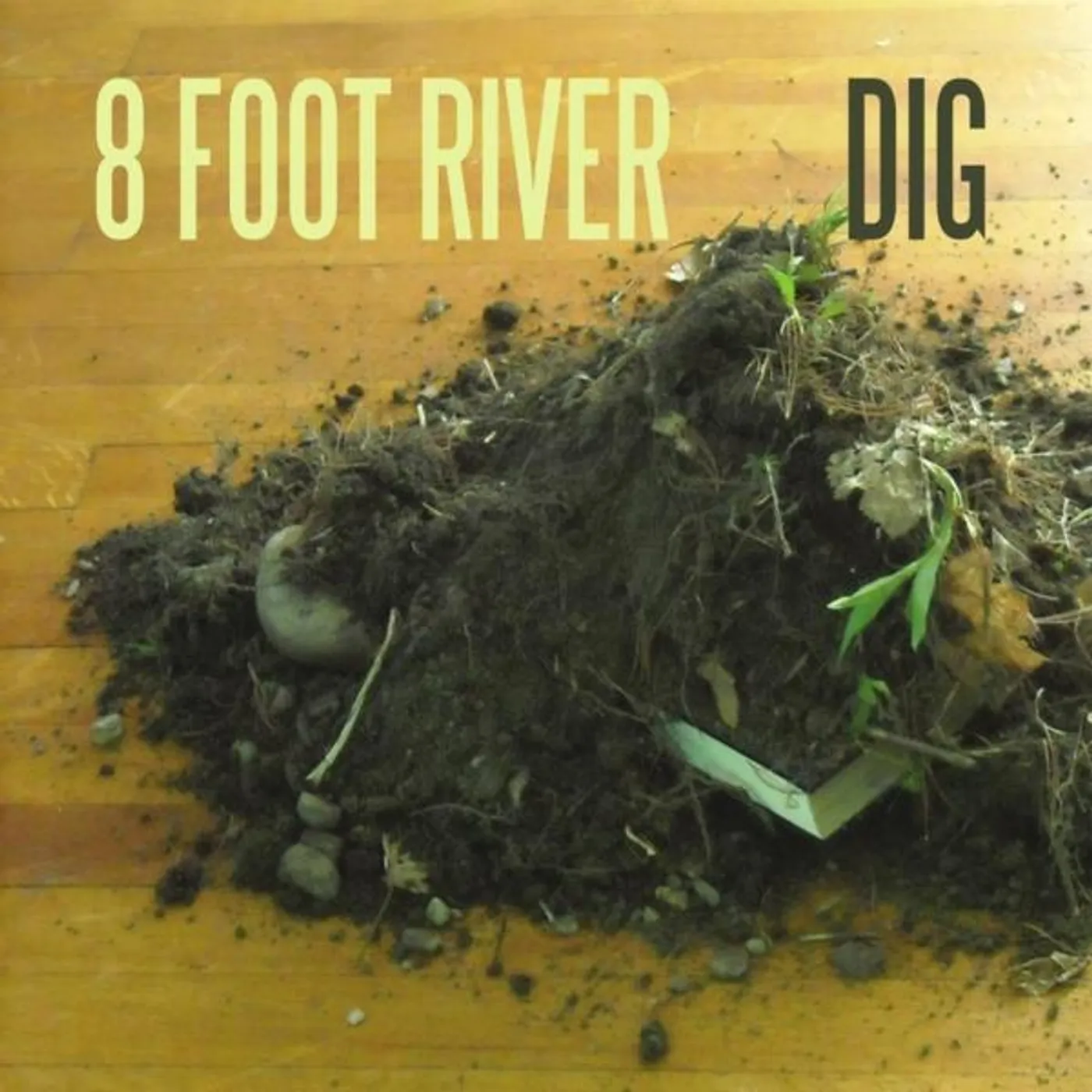 8 Foot River DIG CD