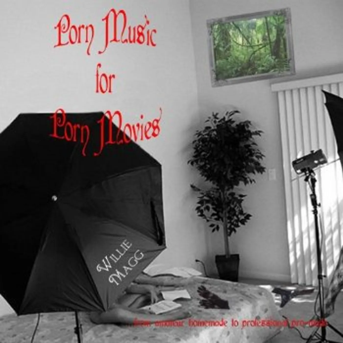 Willie Magg PORN MUSIC FOR PORN MOVIES CD