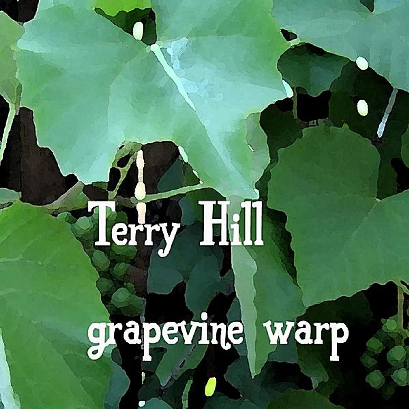 Terry Hill GRAPEVINE WARP CD