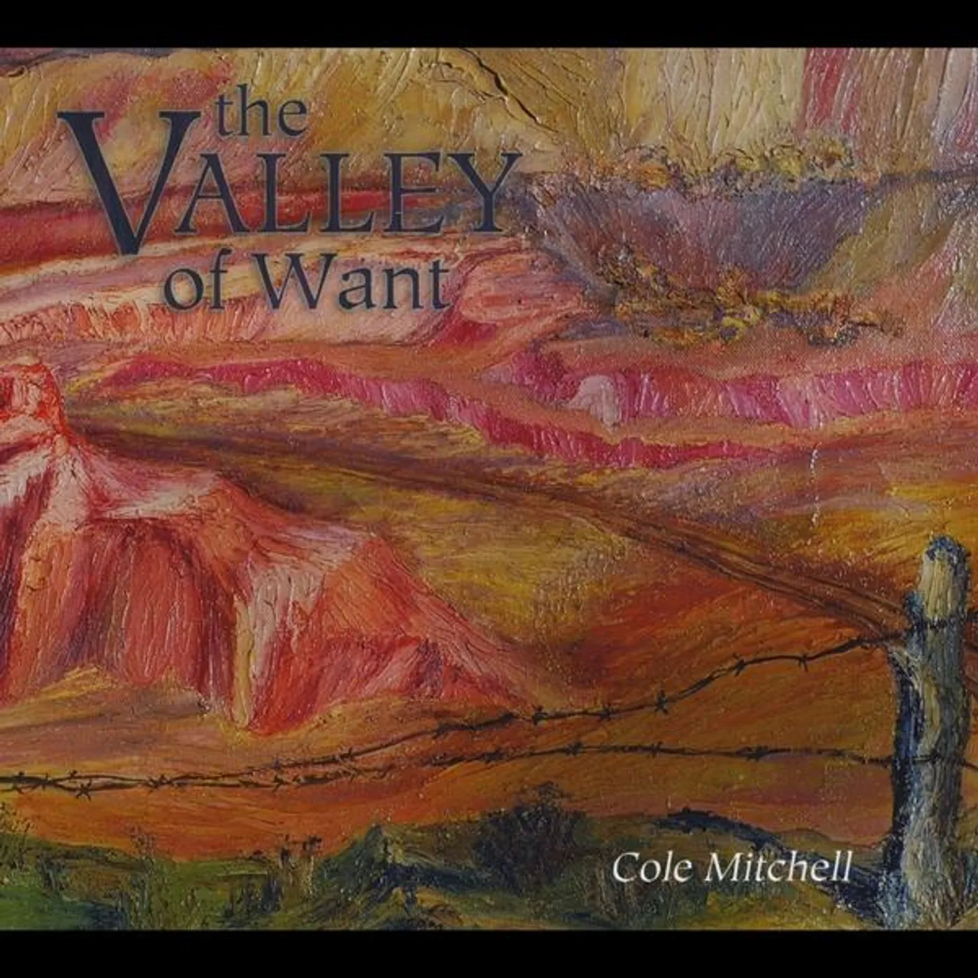 Cole Mitchell VALLEY OF WANT CD
