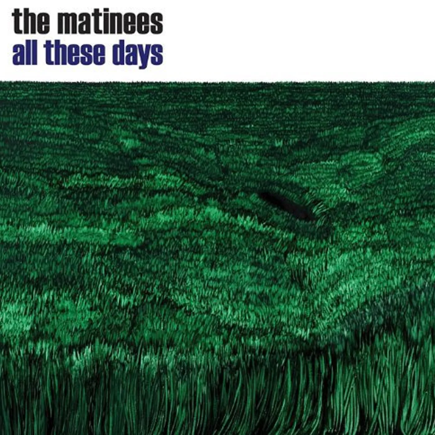 The Matinees All These Days Vinyl Record