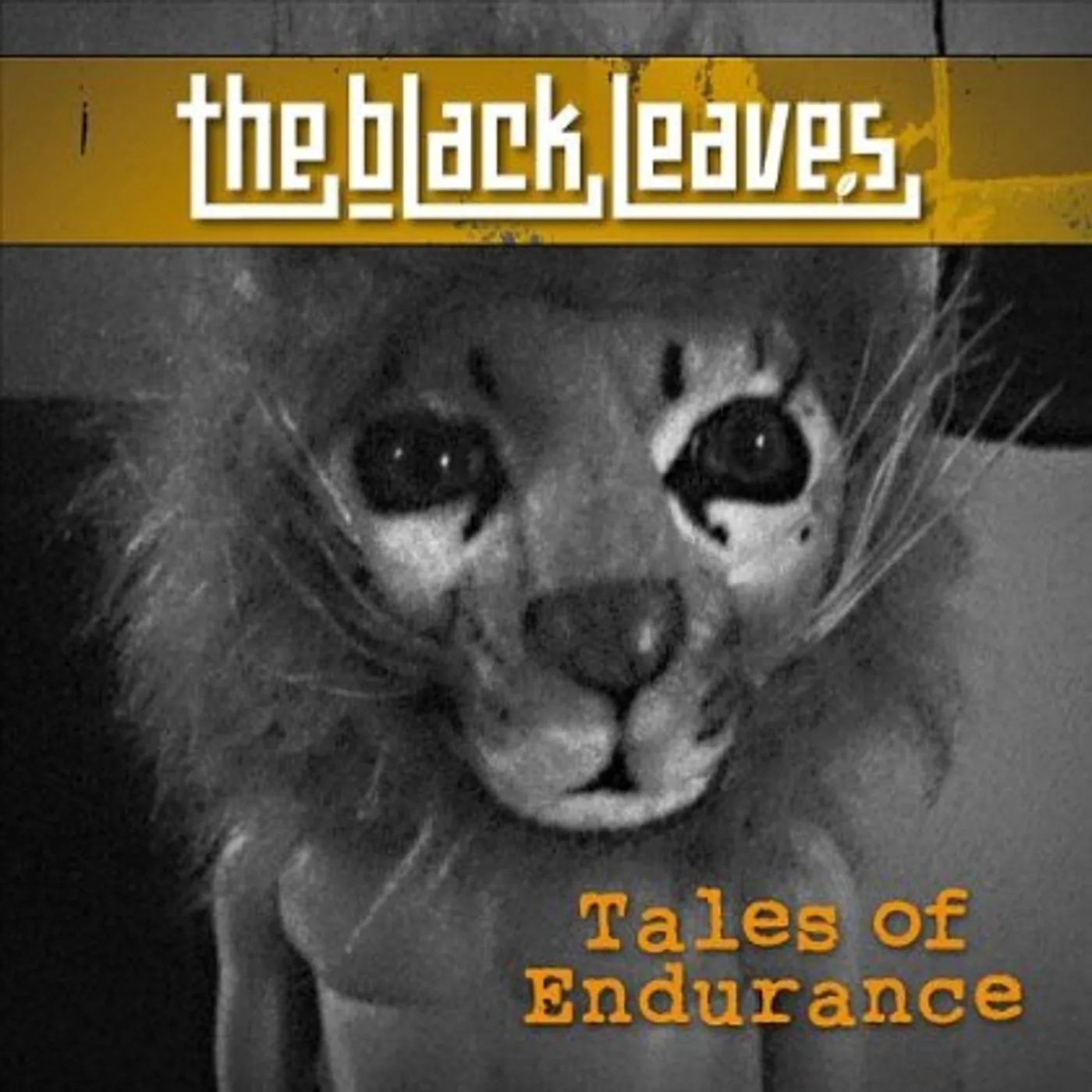 Black Leaves TALES OF ENDURANCE CD