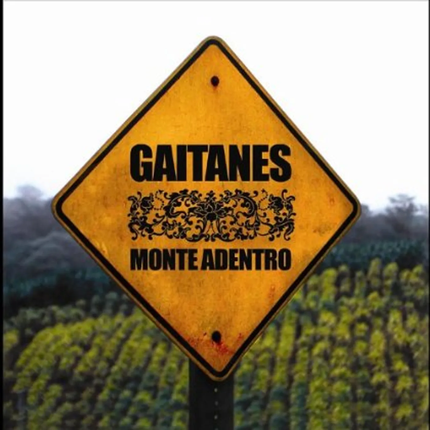 Gaitanes MONTE ADENTRO CD
