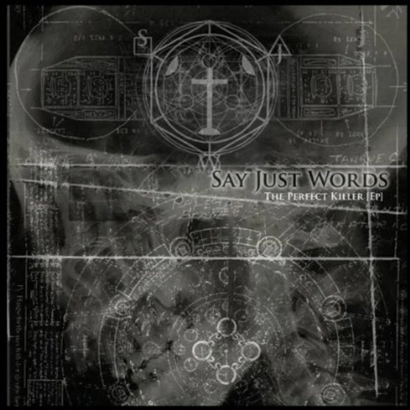 Say Just Words THE PERFECT KILLER CD