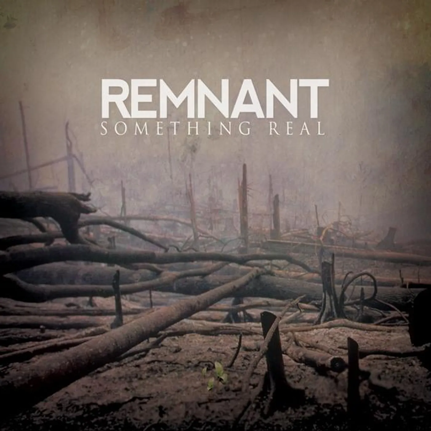 The Remnant SOMETHING REAL CD
