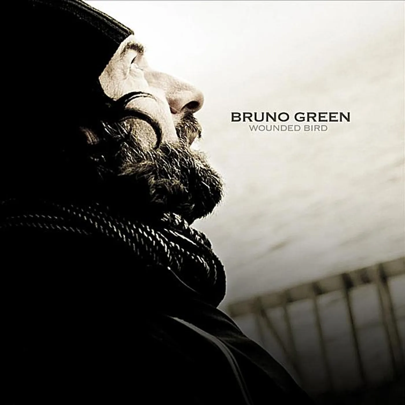 Bruno Green WOUNDED BIRD CD