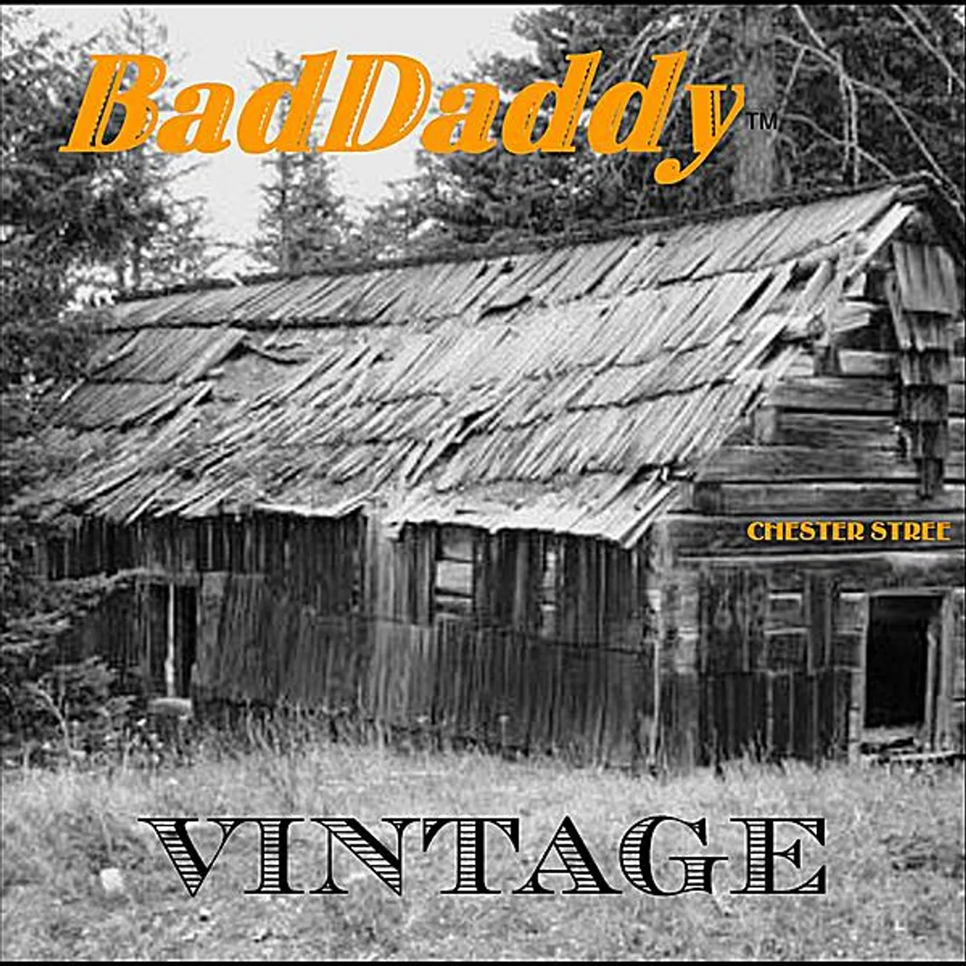 Bad Daddy VINTAGE CD