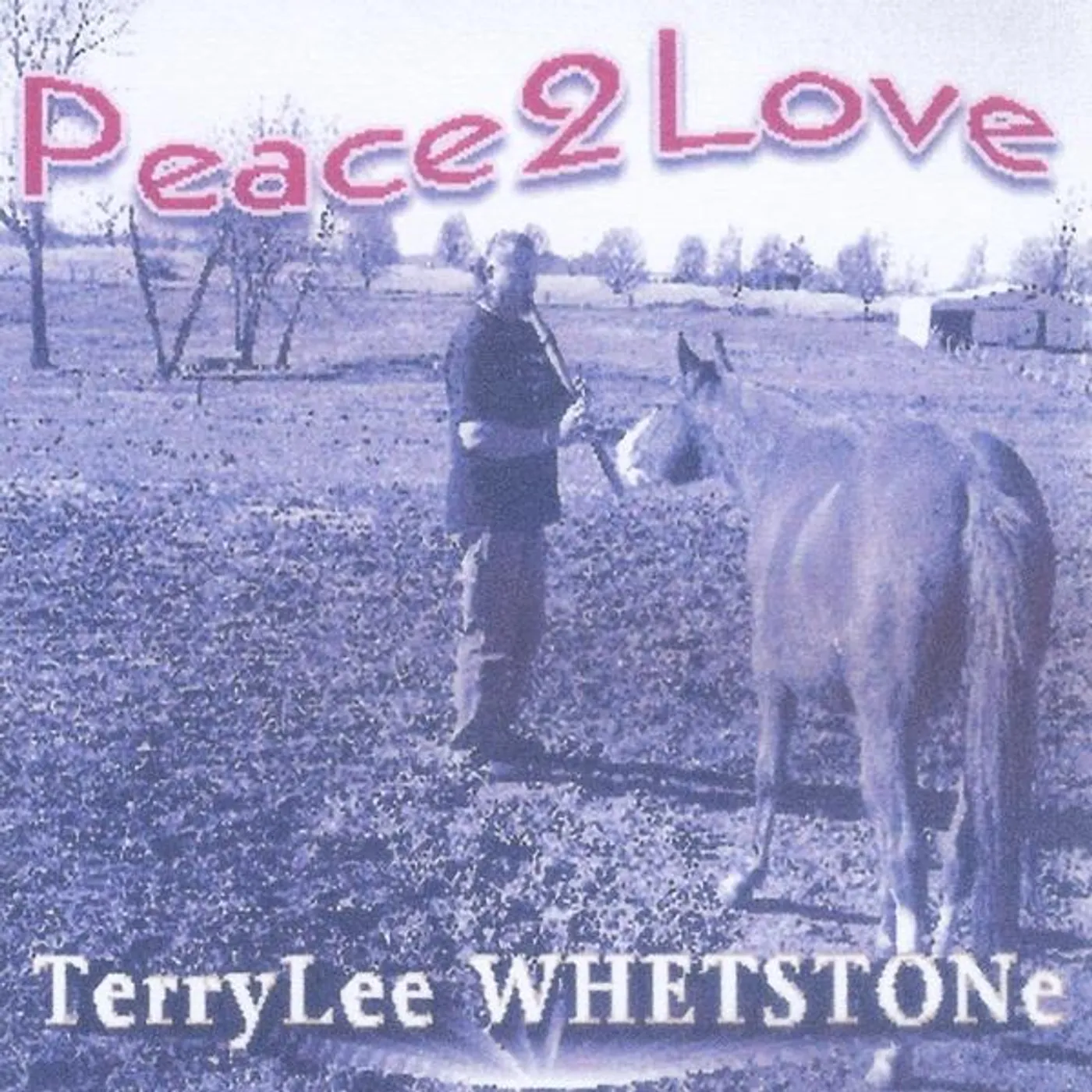 Terrylee Whetstone PEACE2LOVE CD