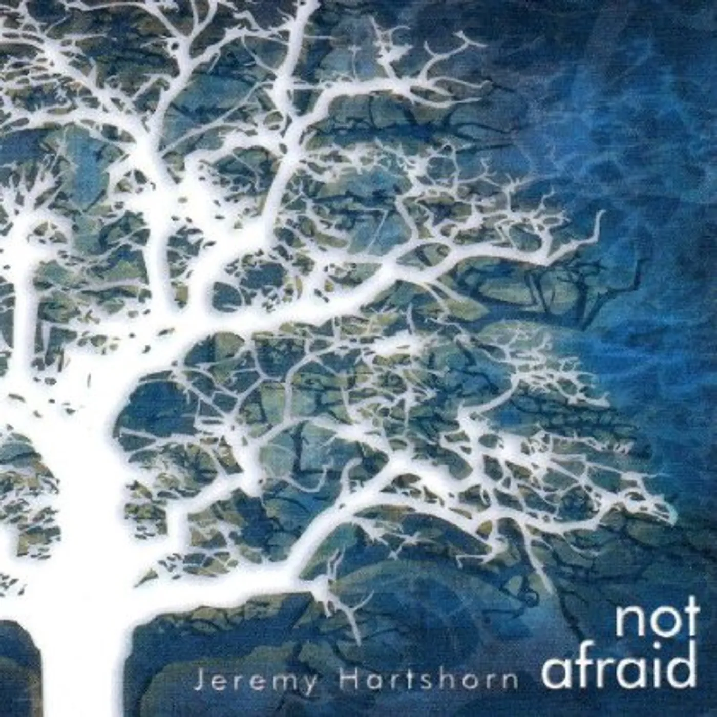 Jeremy Hartshorn NOT AFRAID CD