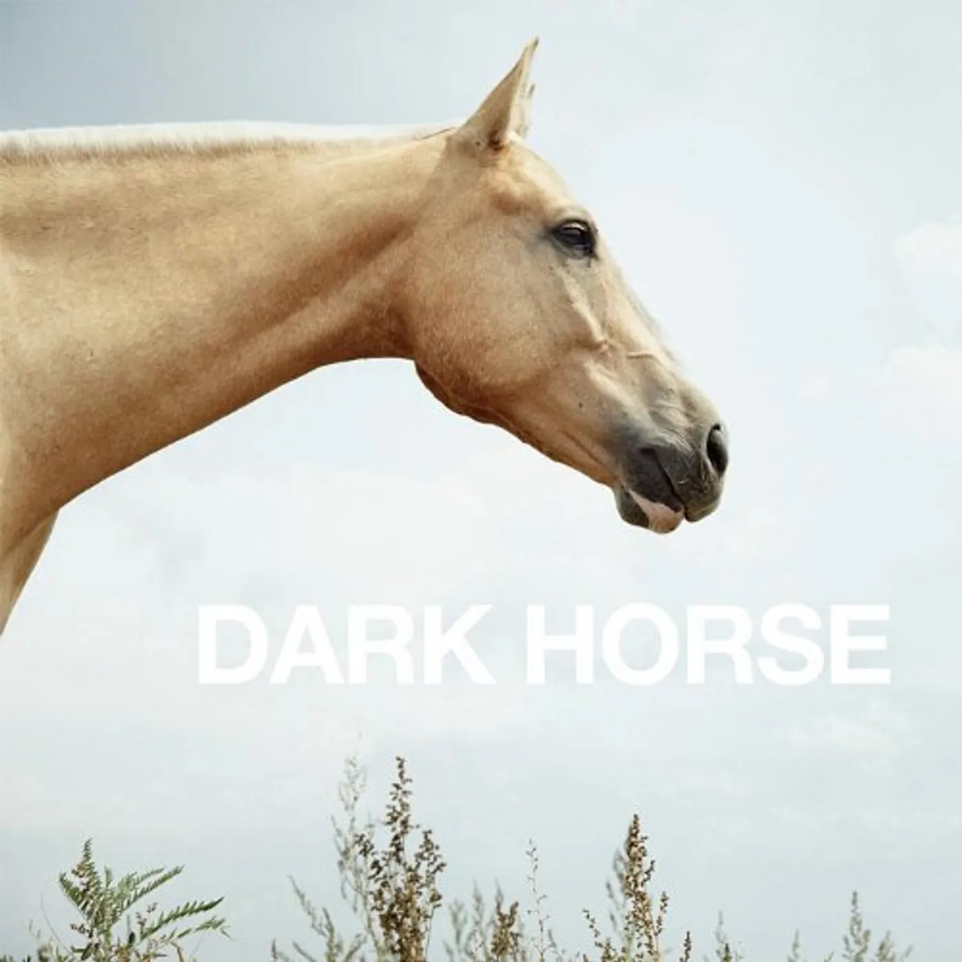 Dark Horse Vinyl Record