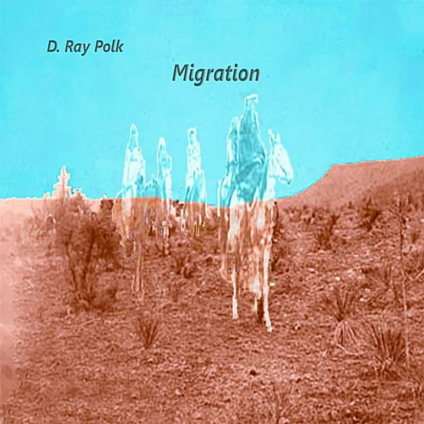 D. Ray Polk MIGRATION CD