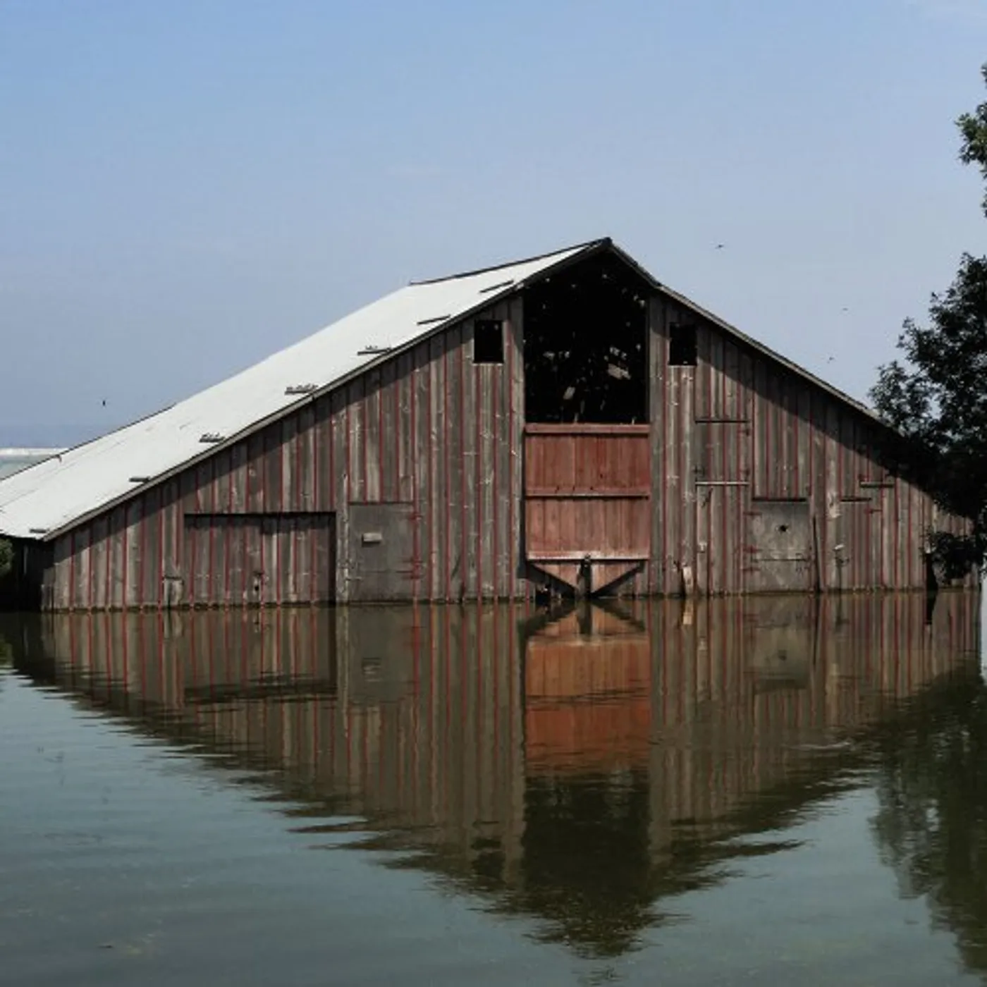 Mutts Pray for Rain Vinyl Record