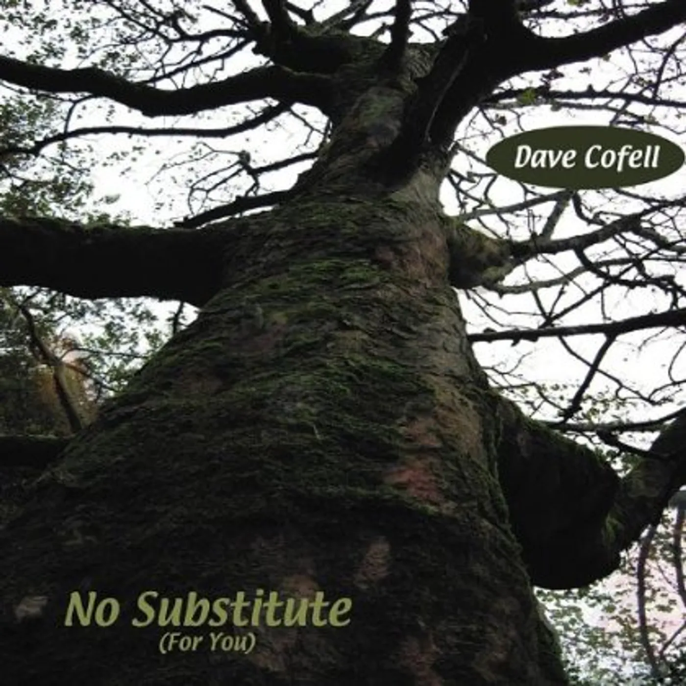 Dave Cofell NO SUBSTITUTE (FOR YOU) CD