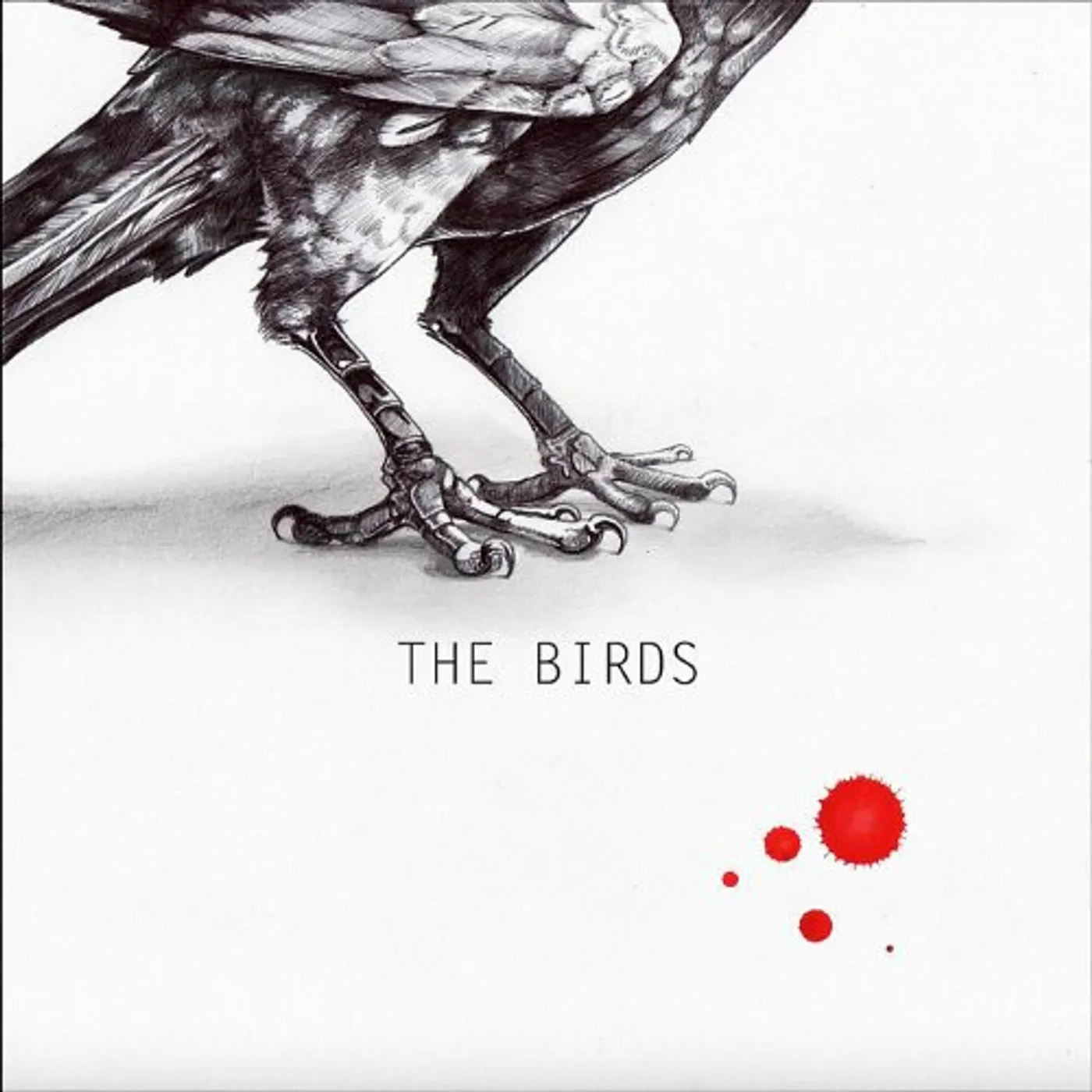 AJ Nutter BIRDS Vinyl Record