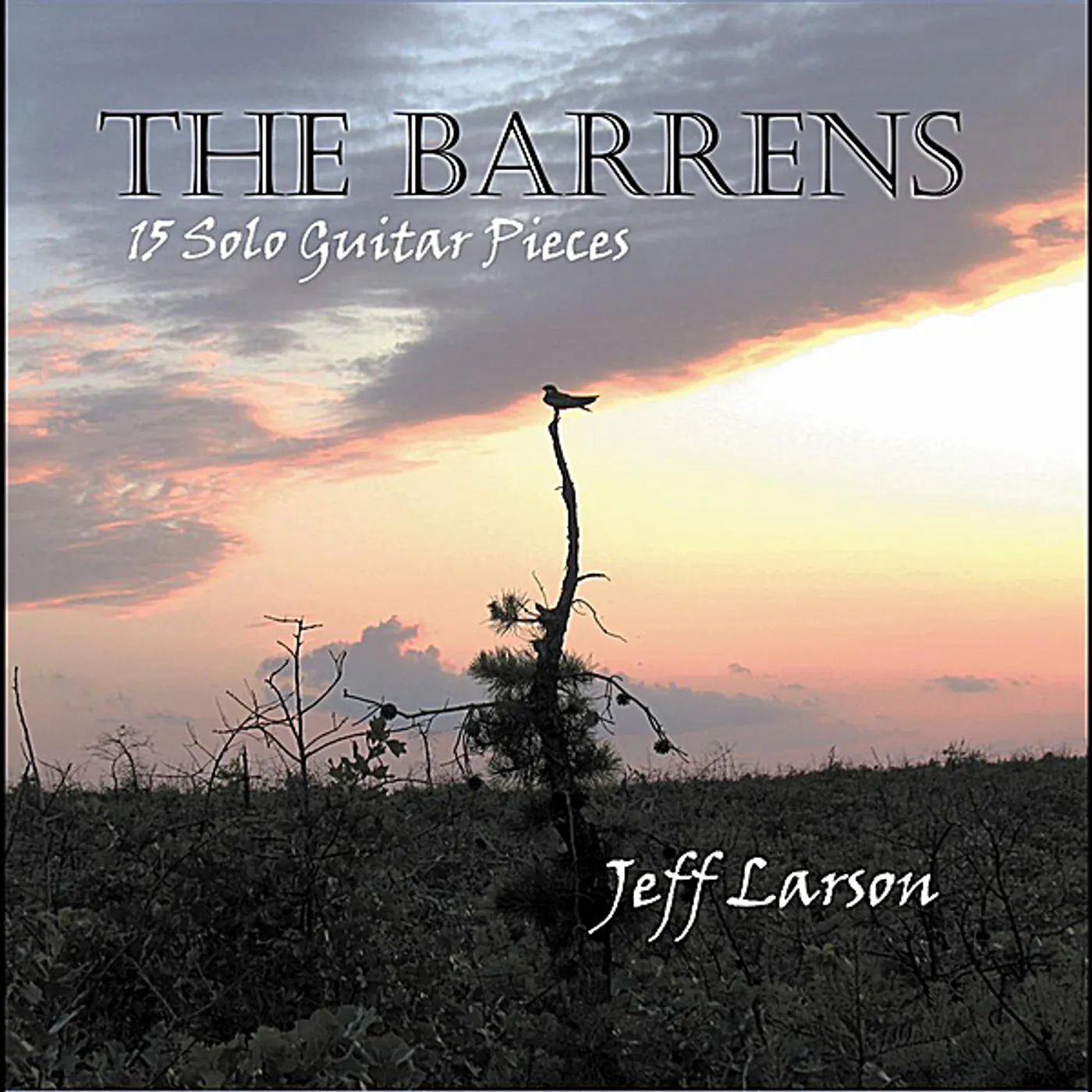 Jeff Larson BARRENS CD