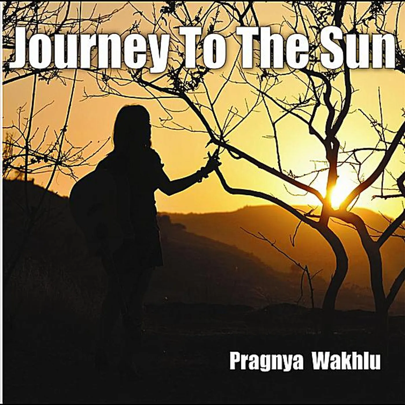 Pragnya Wakhlu JOURNEY TO THE SUN CD