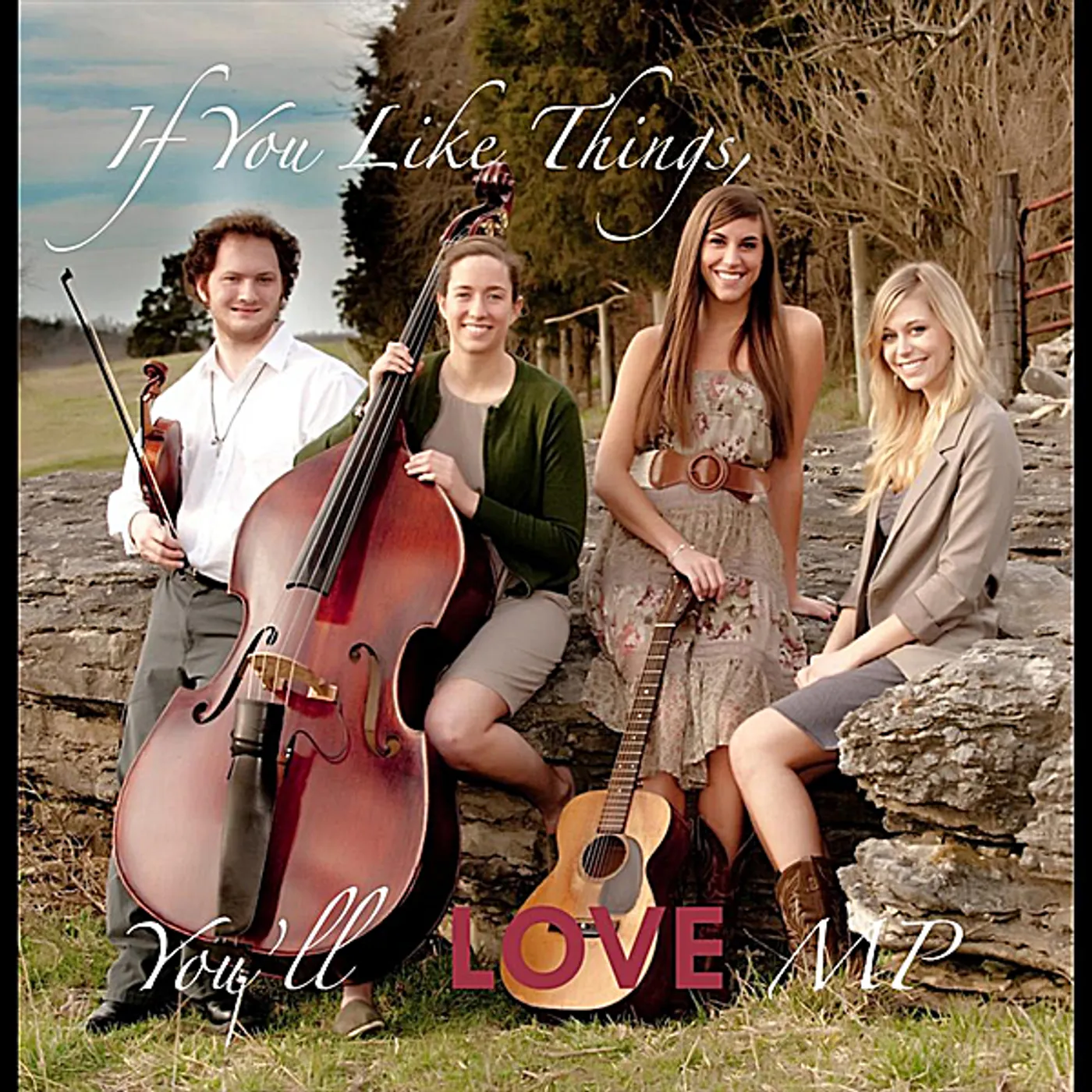 IF YOU LIKE THINGS*YOU'LL LOVE MP CD