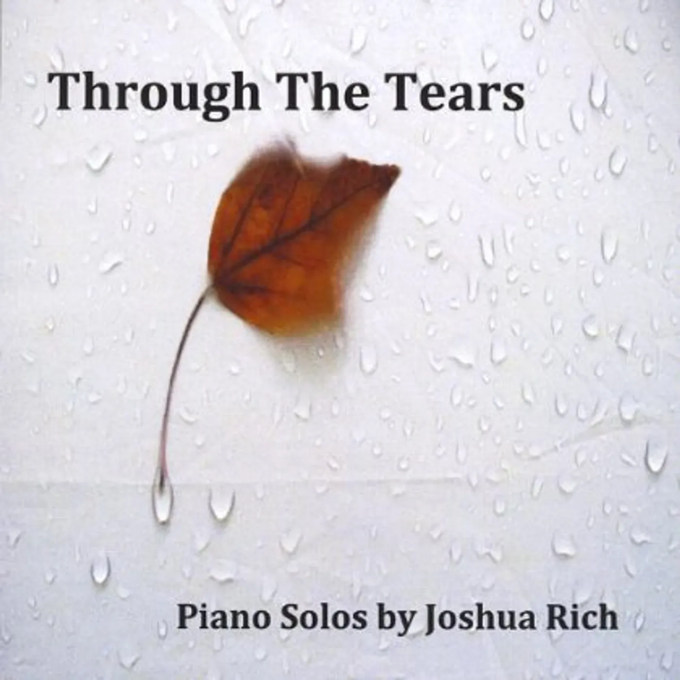 Joshua Rich THROUGH THE TEARS CD