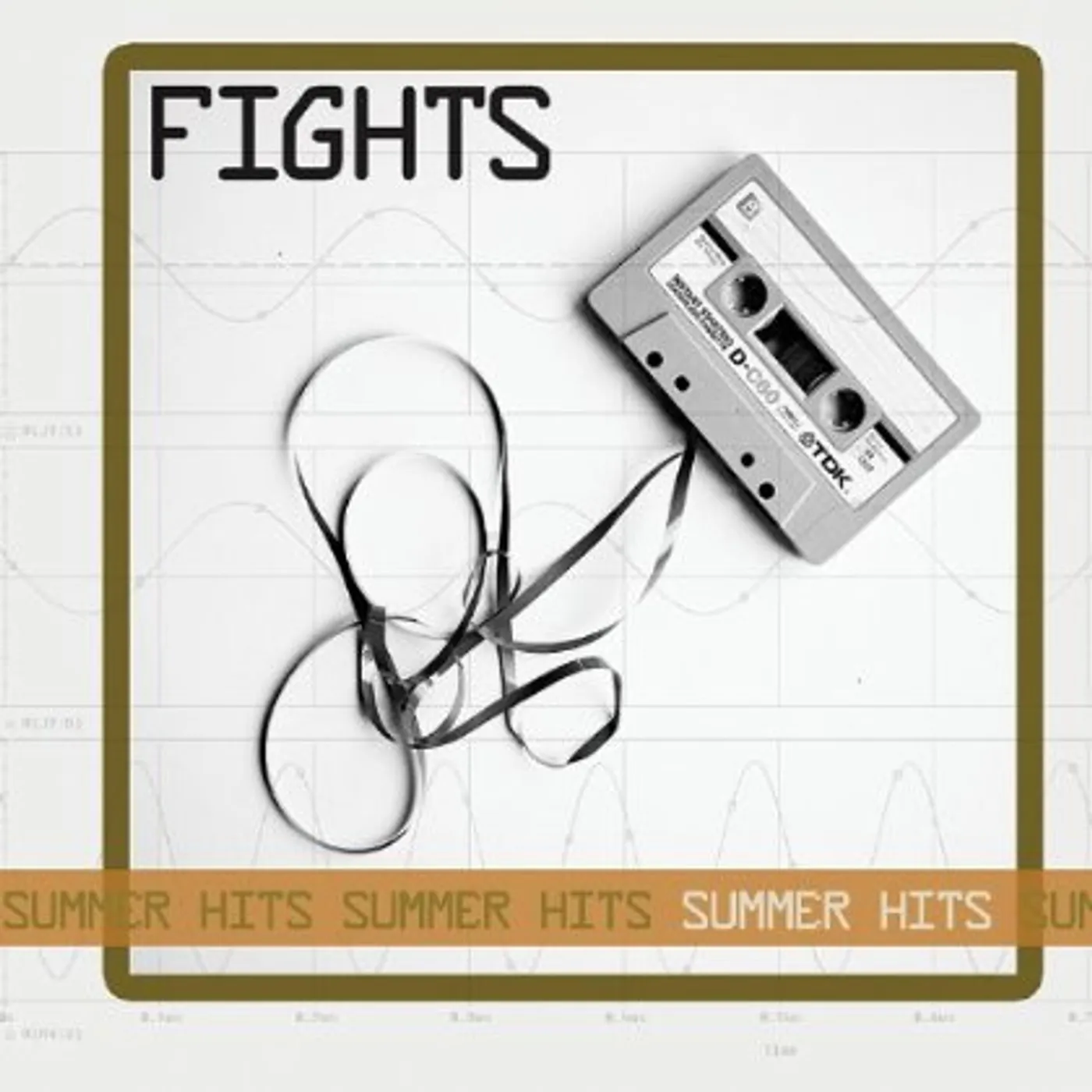 Fights SUMMER HITS CD