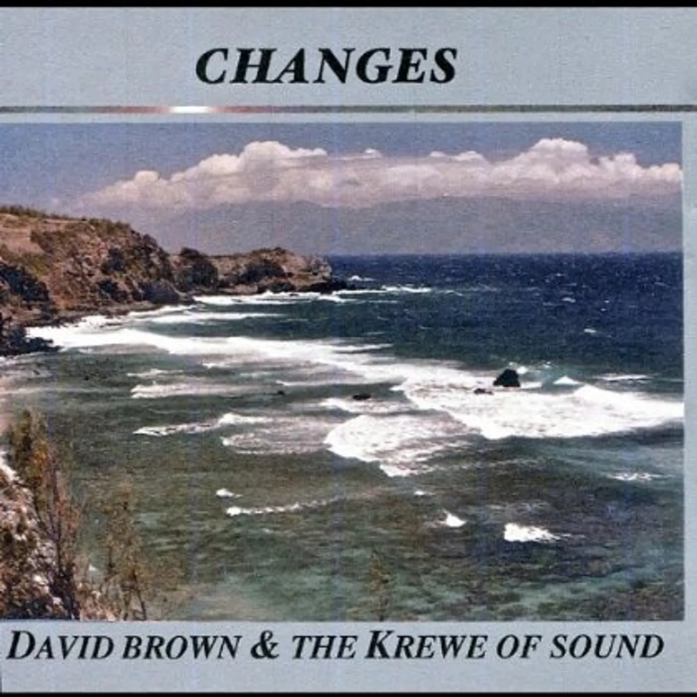 David Brown & the Krewe of Sound CHANGES CD