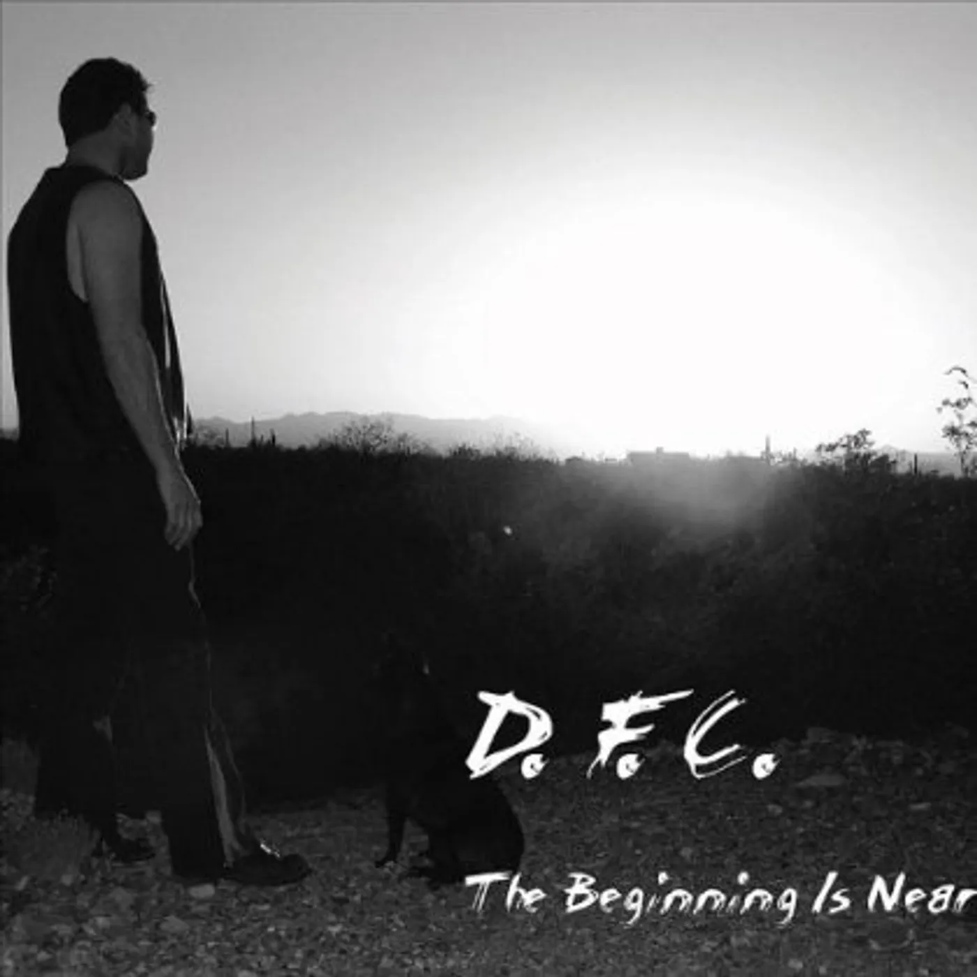 D.F.C. BEGINNING IS NEAR CD