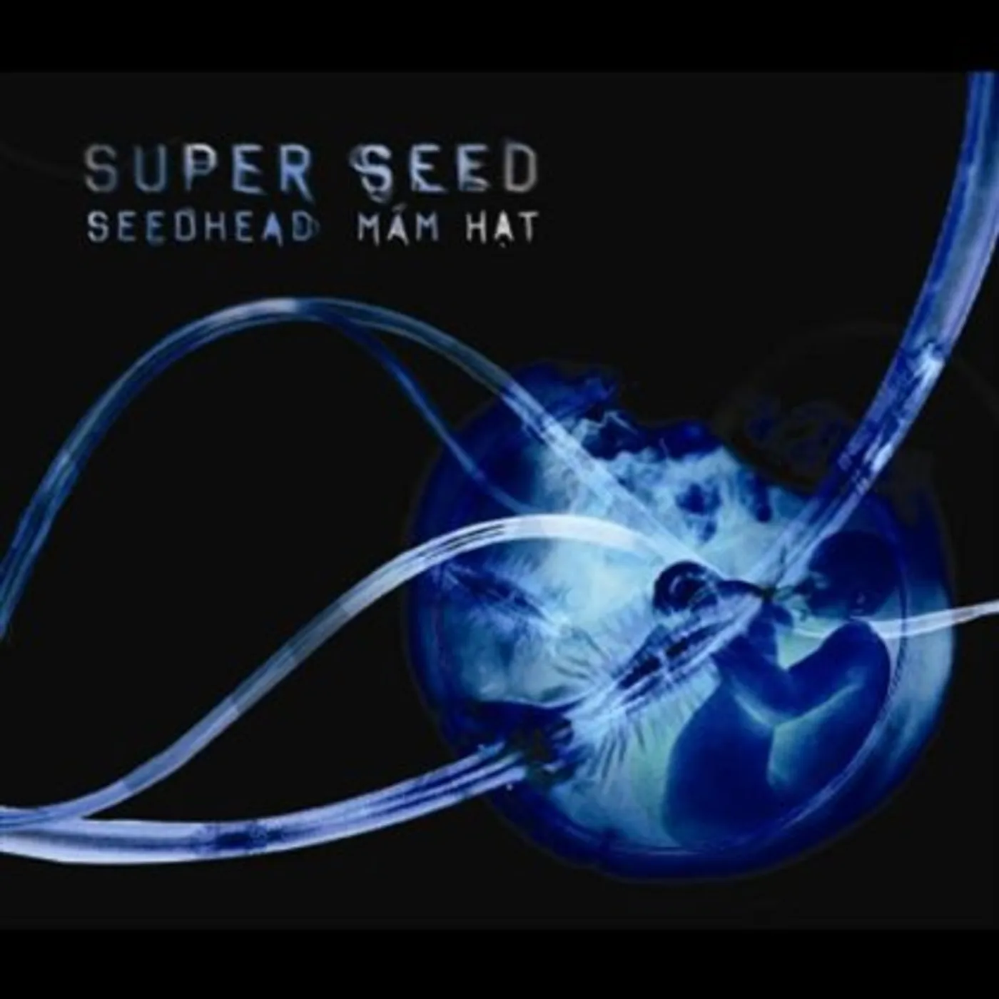 Super Seed SEEDHEAD CD