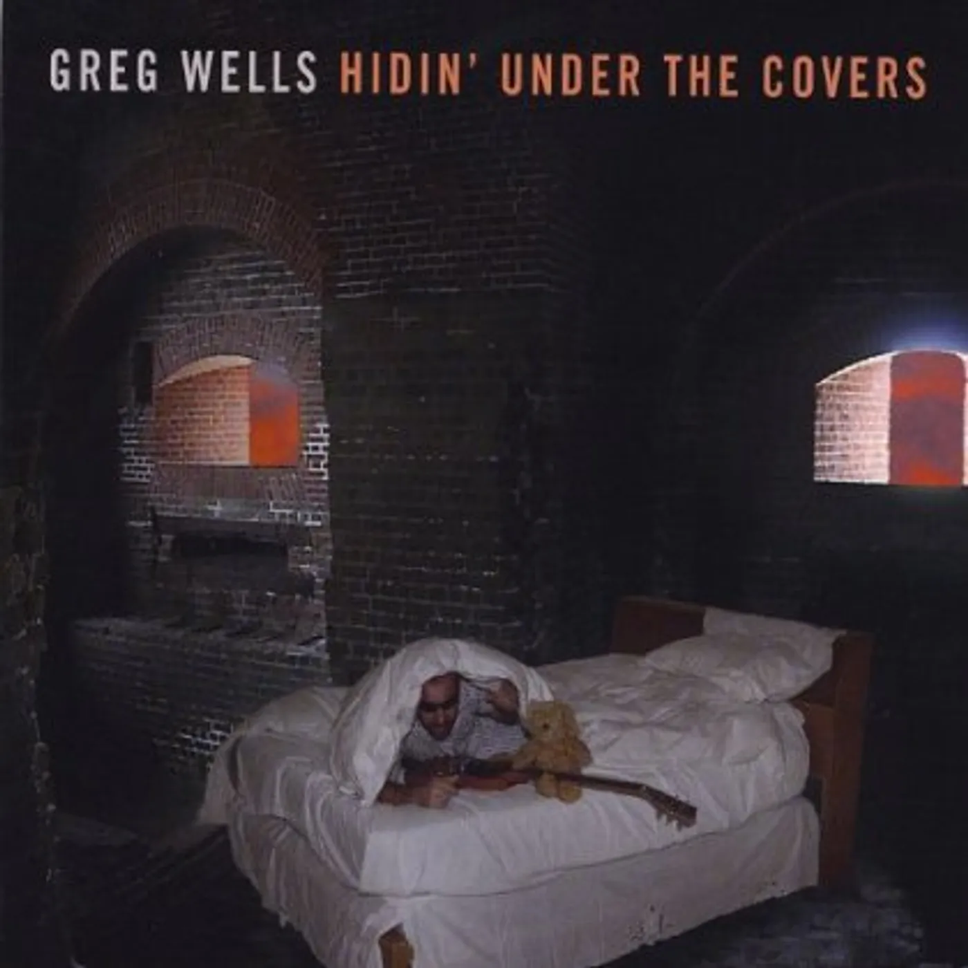 Greg Wells HIDIN' UNDER THE COVERS CD
