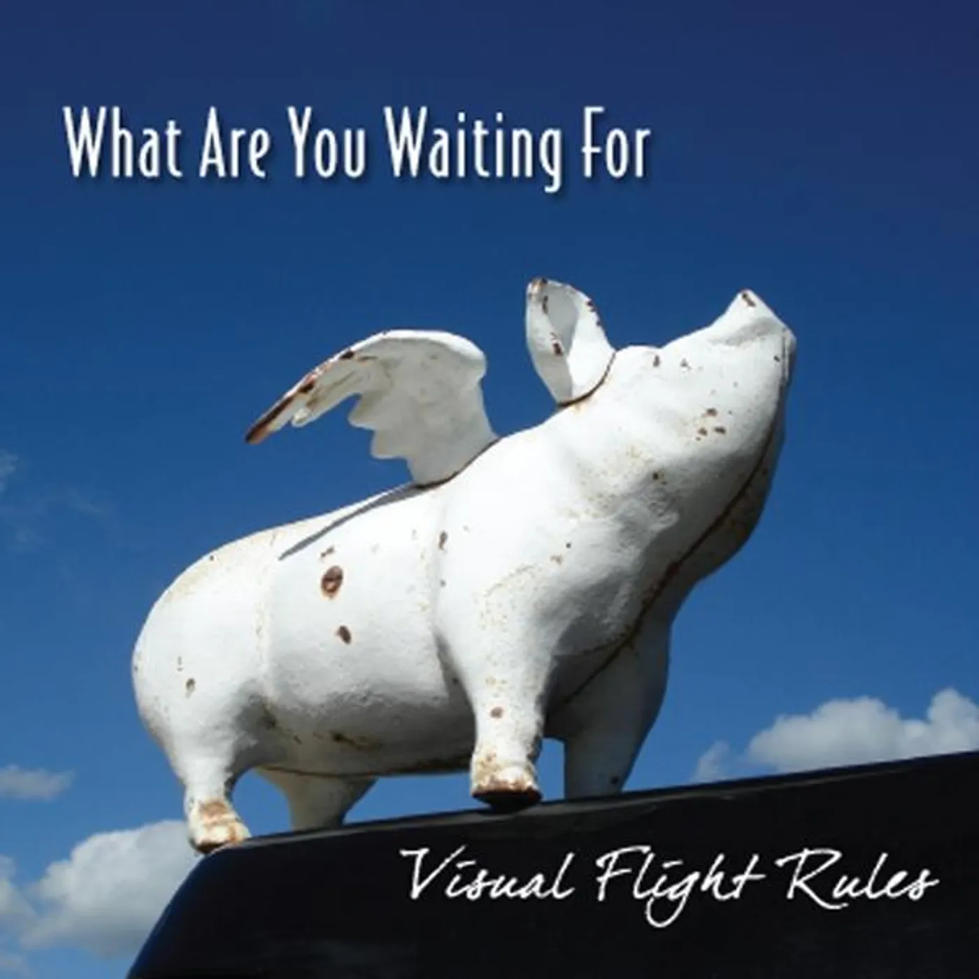 Visual Flight Rules WHAT ARE YOU WAITING FOR CD
