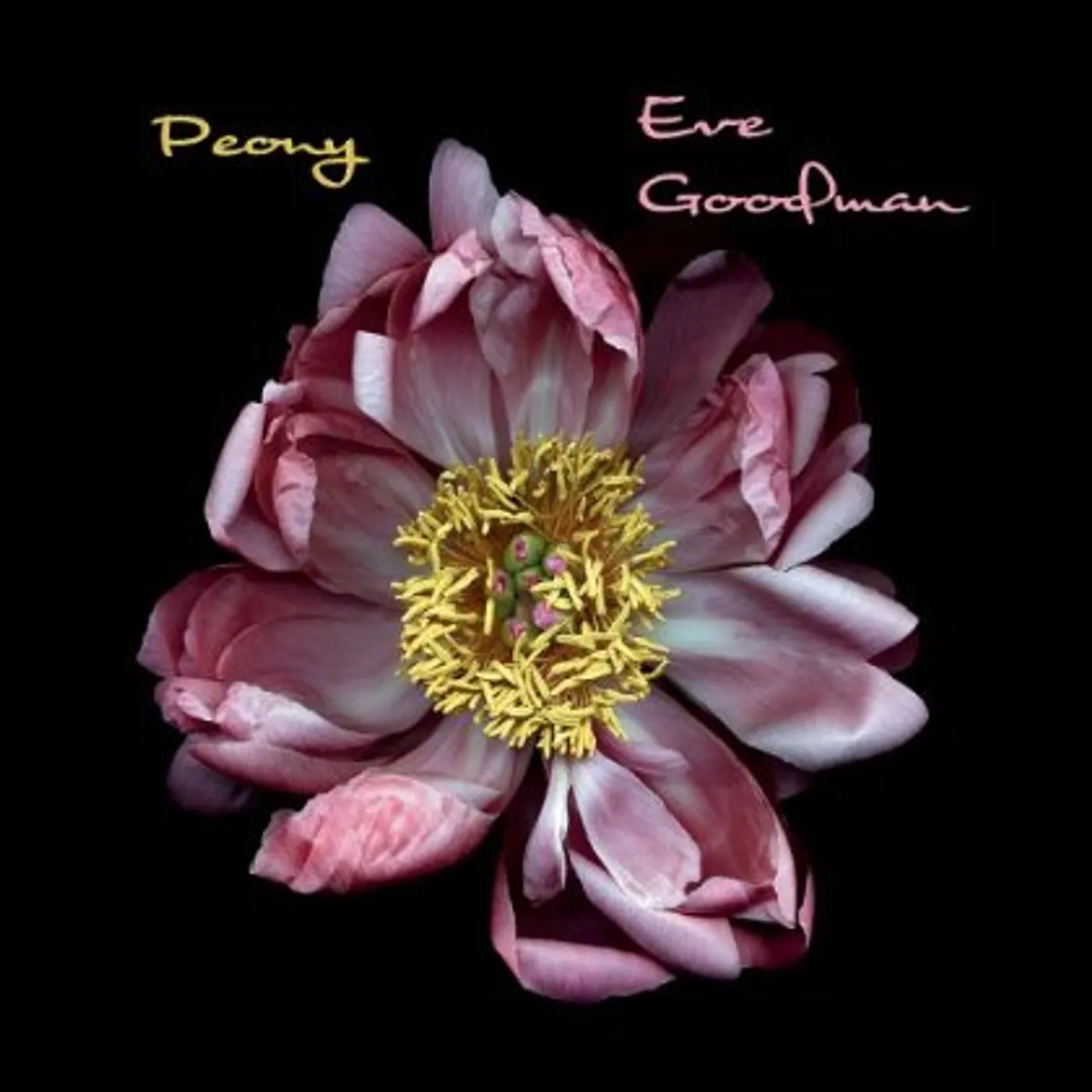 Eve Goodman PEONY CD