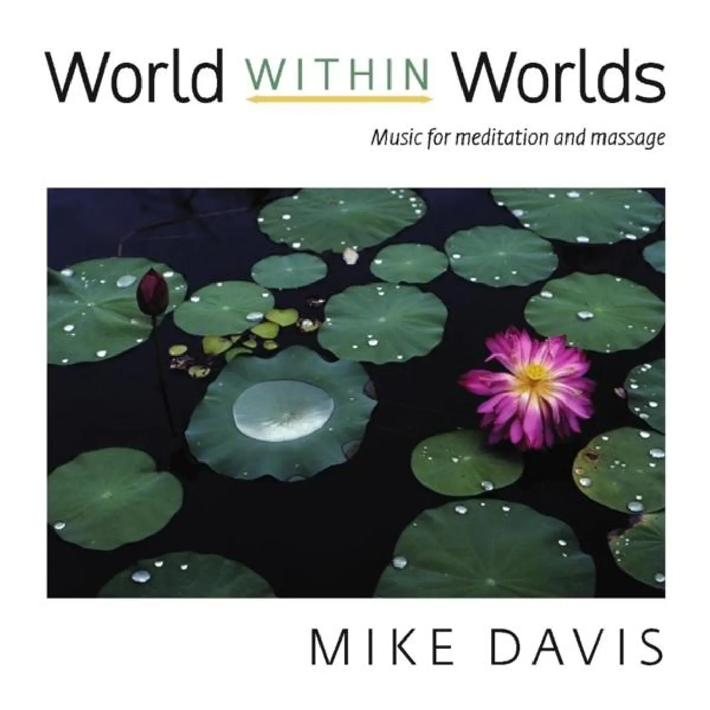 Mike Davis WORLD WITHIN WORLDS CD