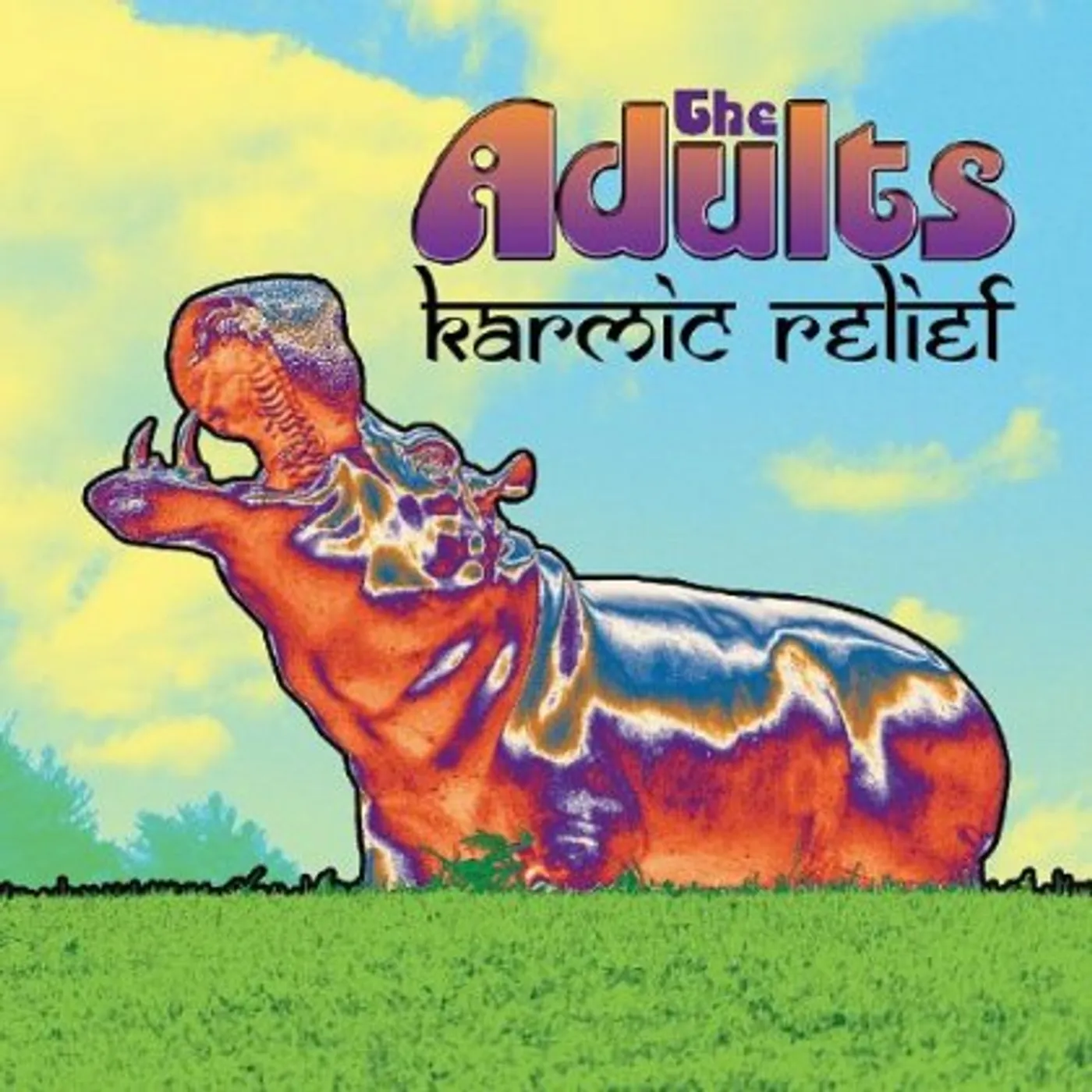 adults KARMIC RELIEF CD