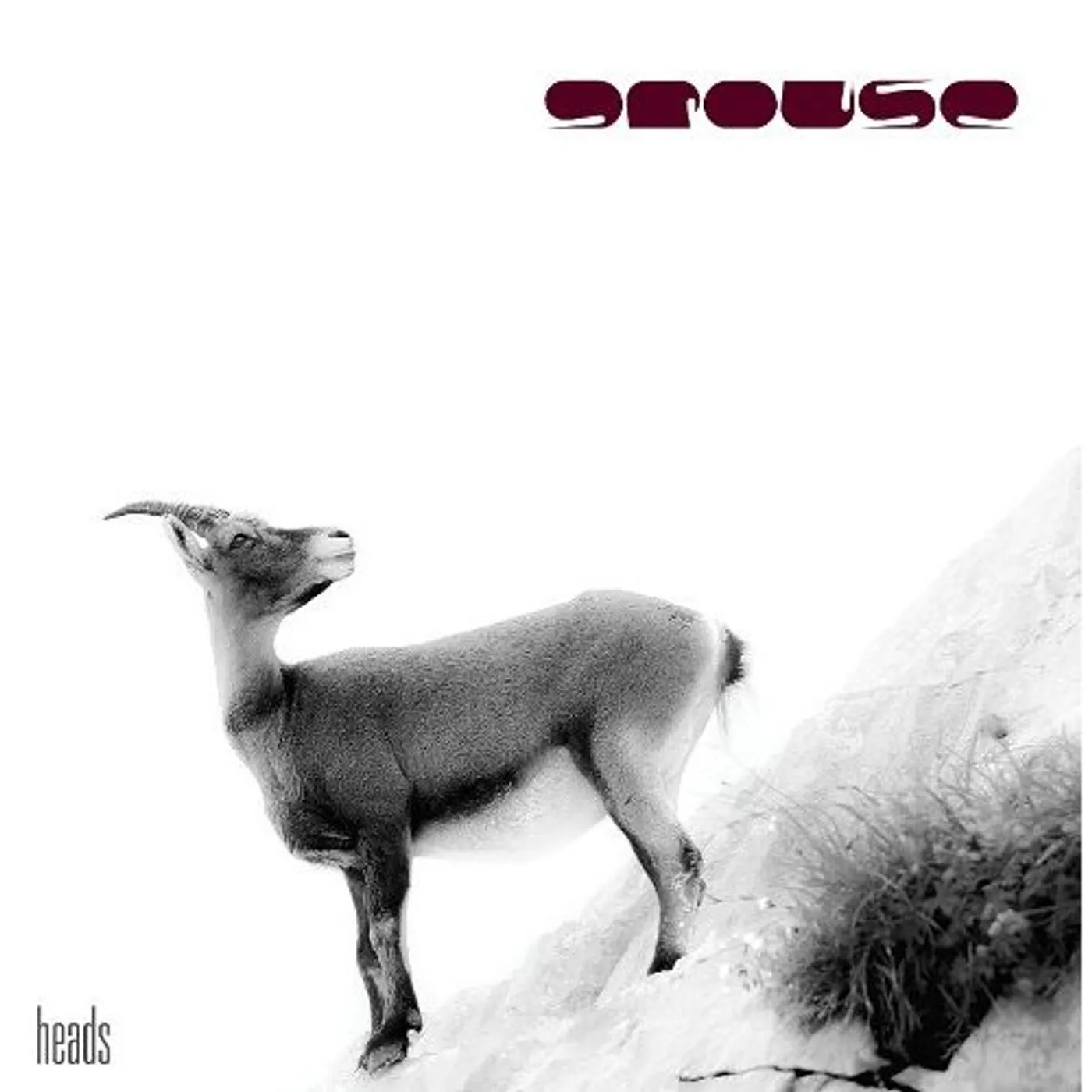 gROUSe HEADS CD