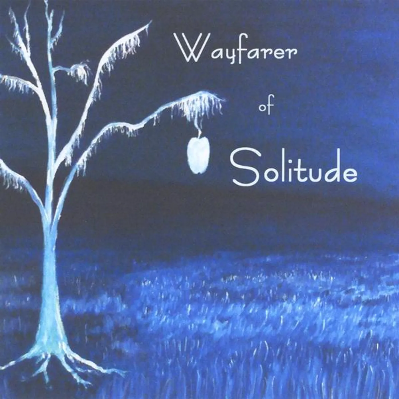 Brian Buchignani WAYFARER OF SOLITUDE CD