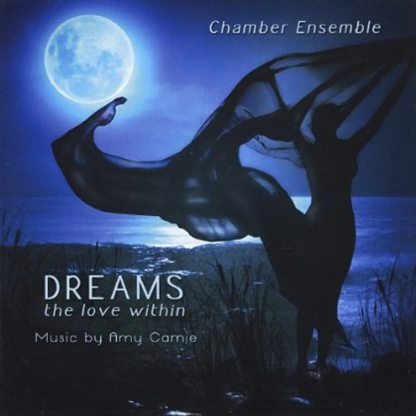 Amy Camie DREAMS-THE LOVE WITHIN-CHAMBER ENSEMBLE CD