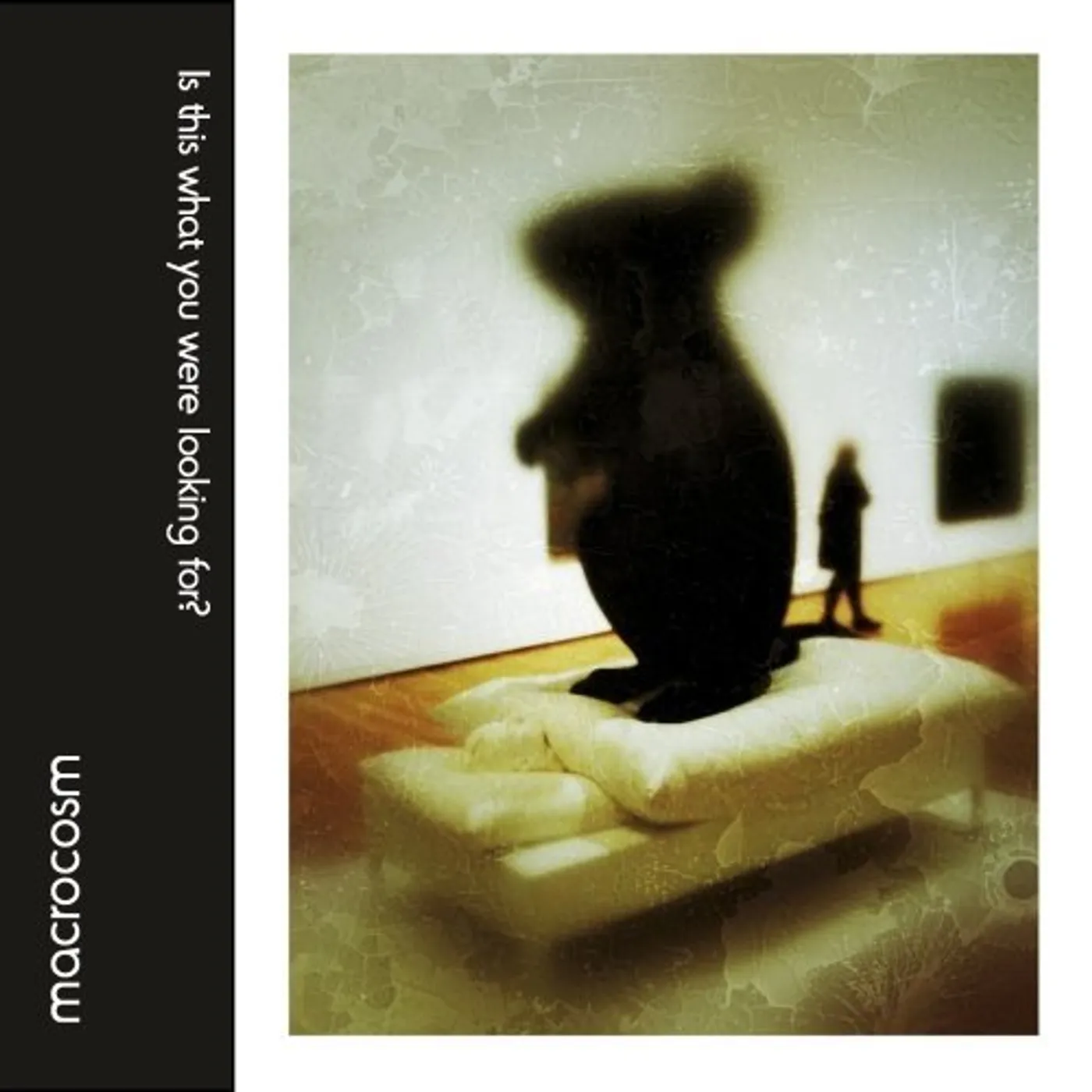 Macrocosm IS THIS WHAT YOU WERE LOOKING FOR? CD