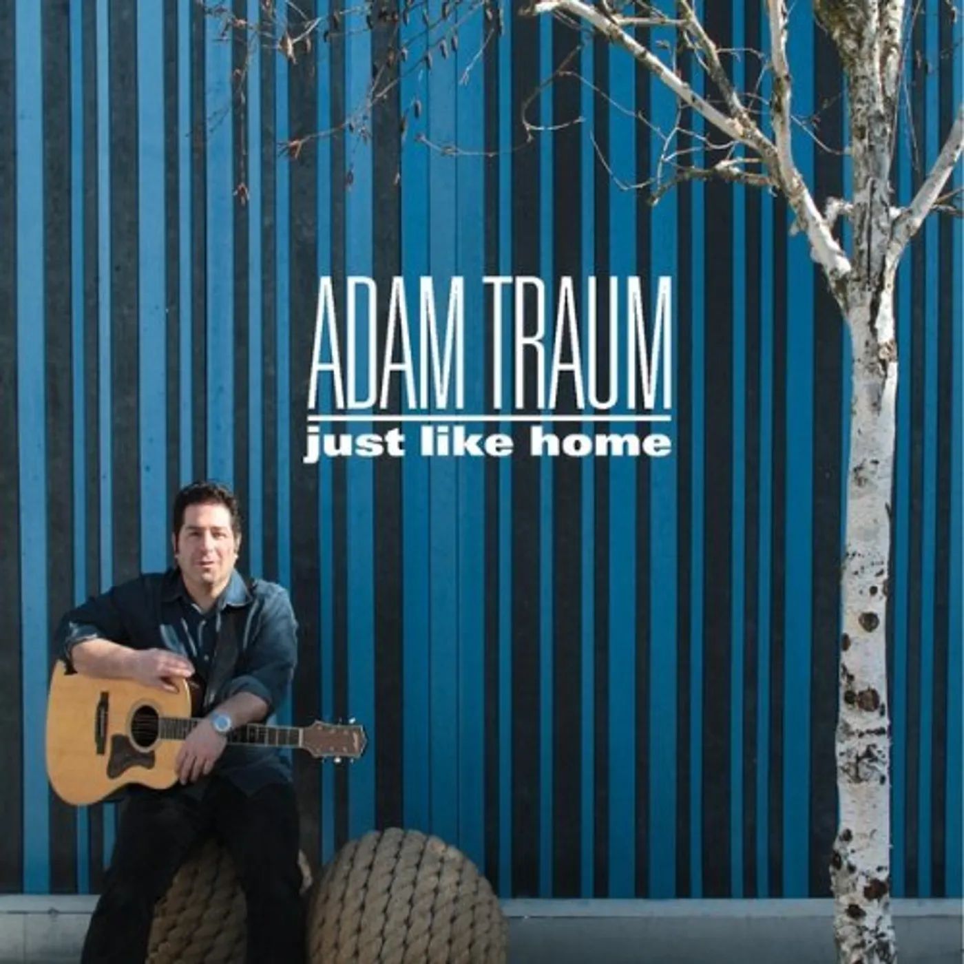 Adam Traum JUST LIKE HOME CD