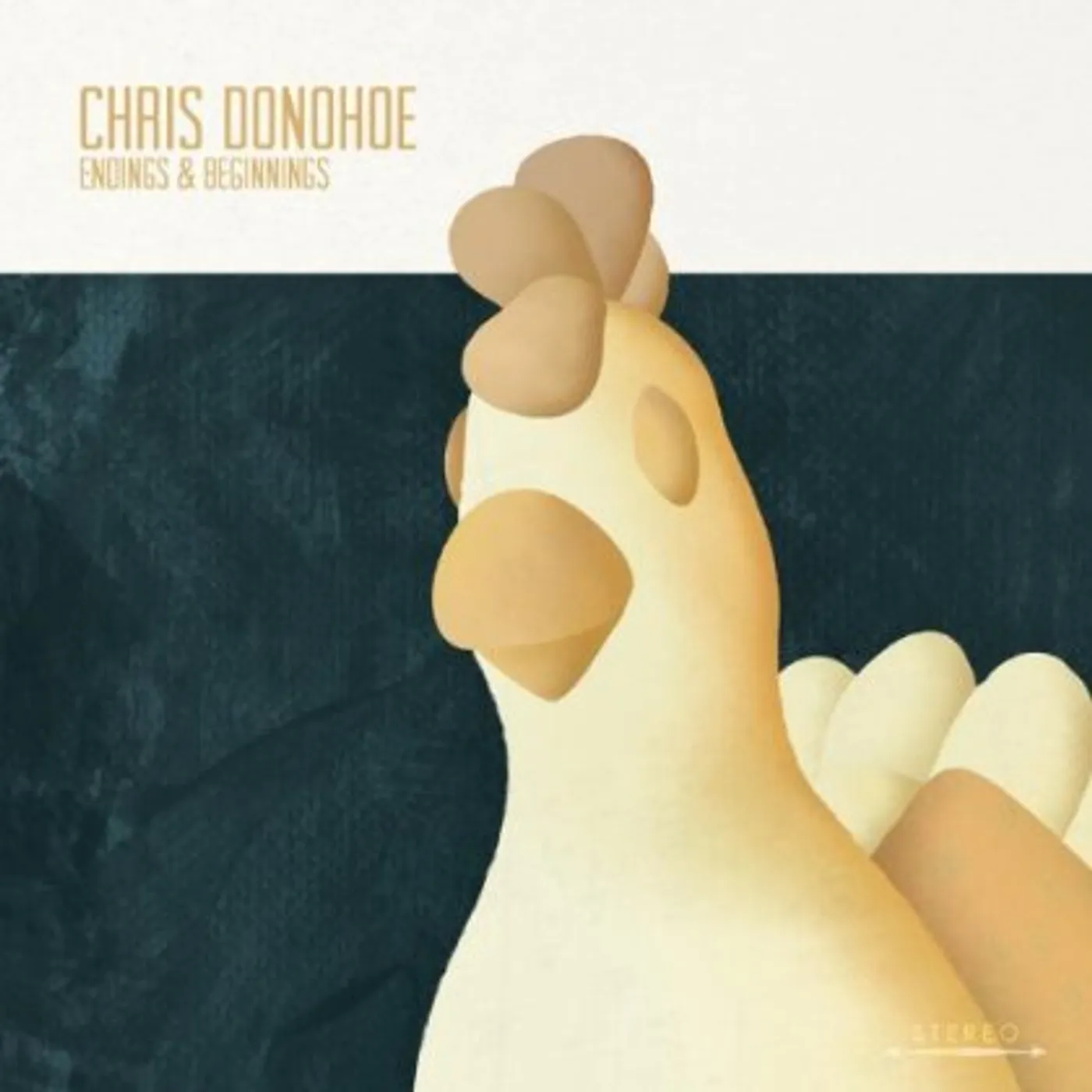 Chris Donohoe ENDINGS & BEGINNINGS CD