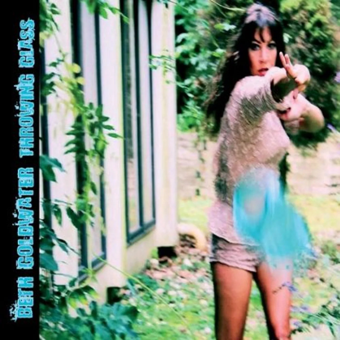 Beth Goldwater THROWING GLASS CD