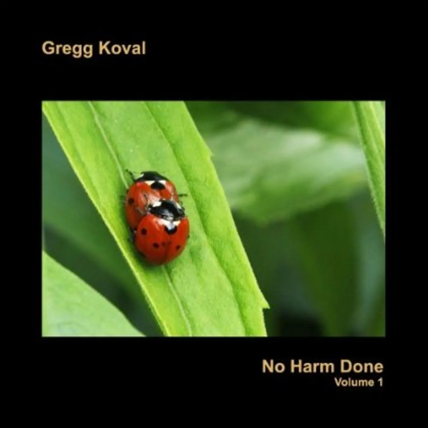 Gregg Koval NO HARM DONE 1 CD