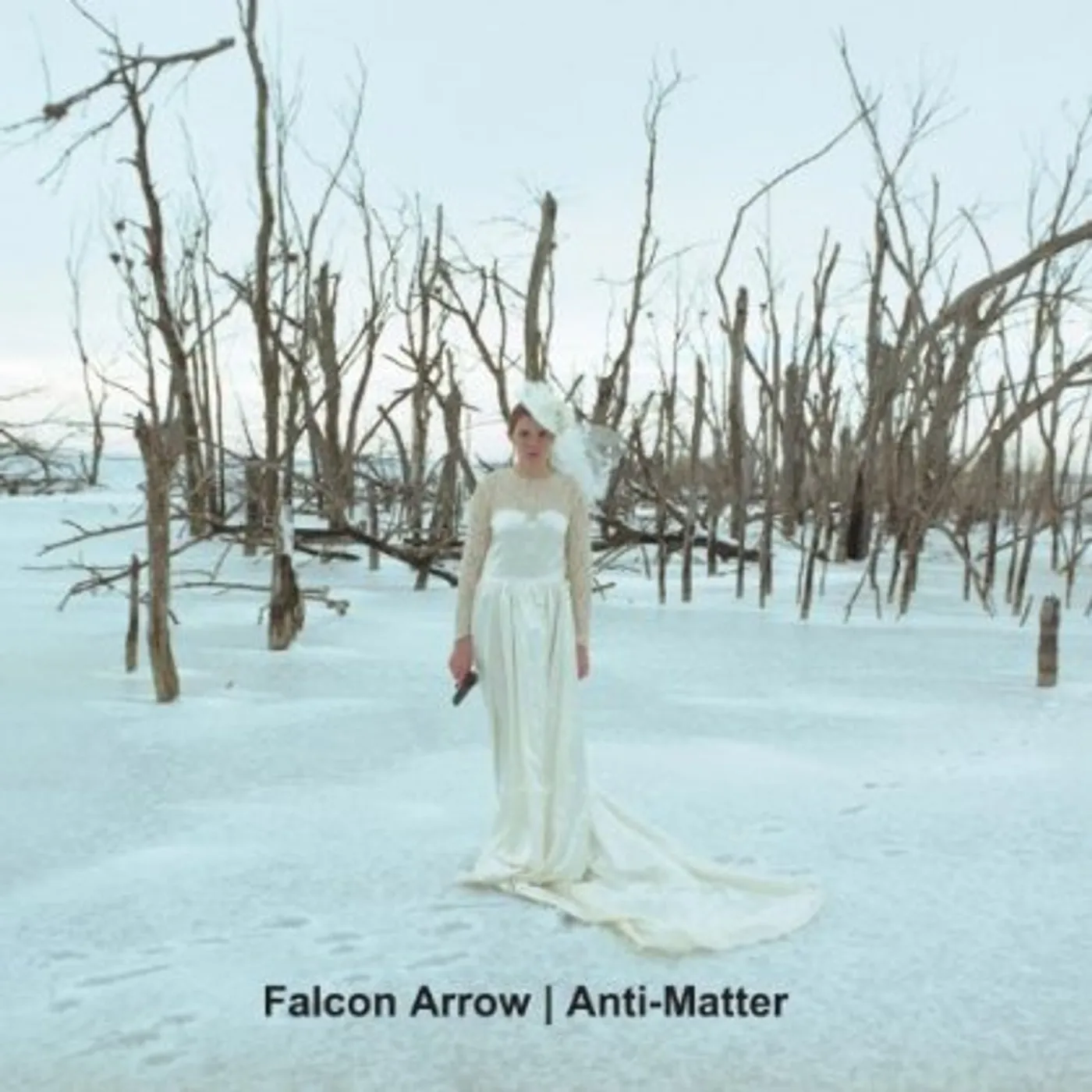 Falcon Arrow ANTI-MATTER CD