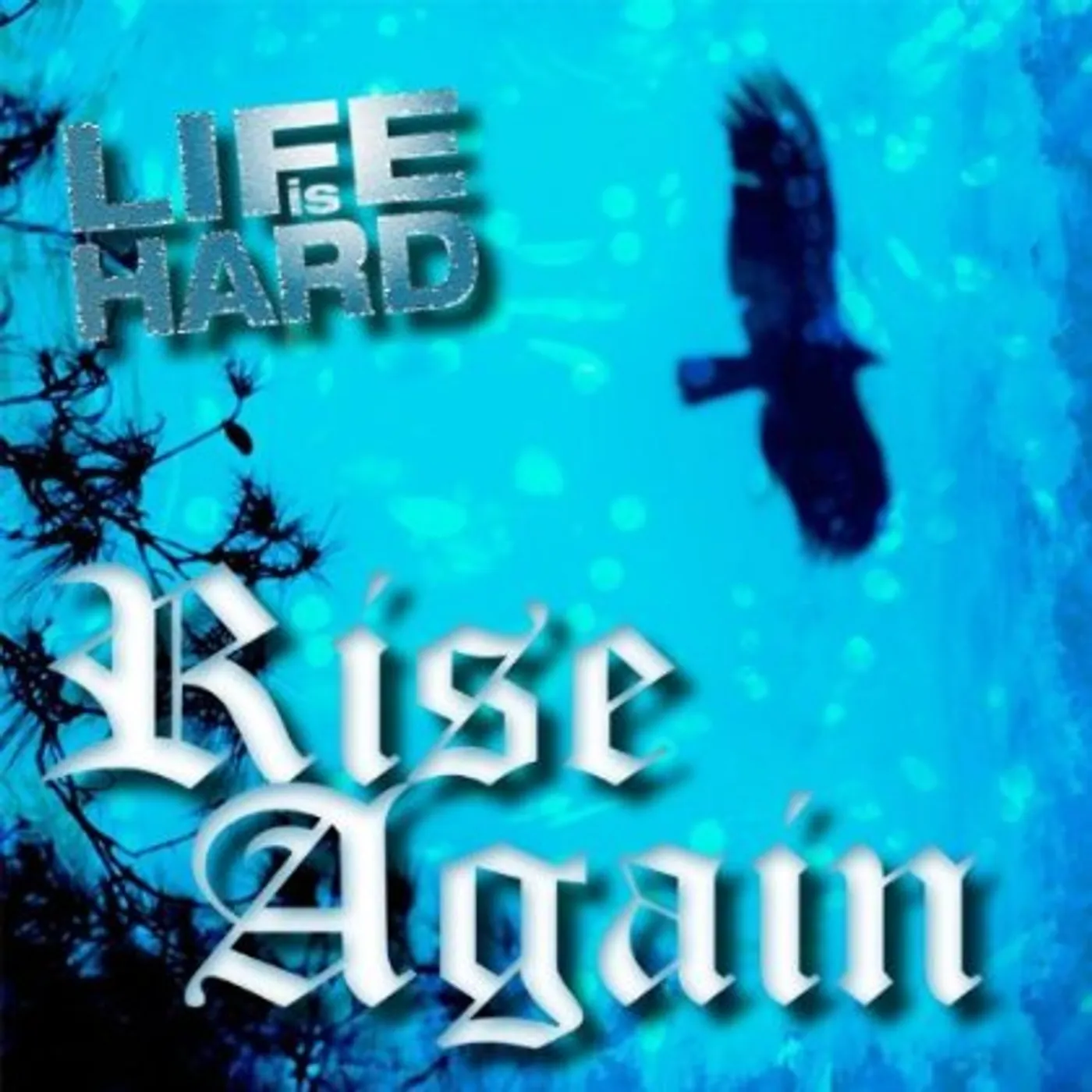 Life is Hard RISE AGAIN CD