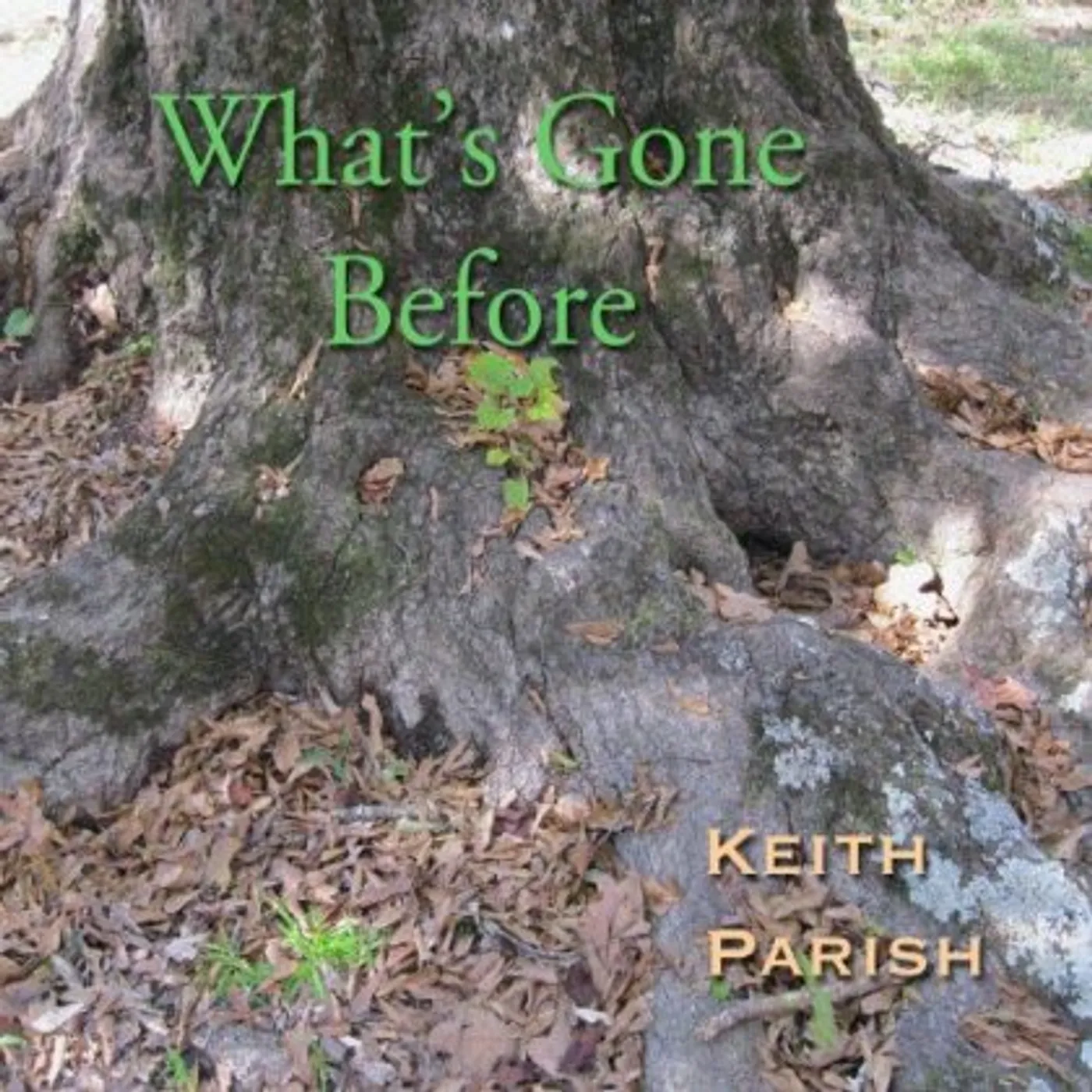 Keith Parish WHAT'S GONE BEFORE CD