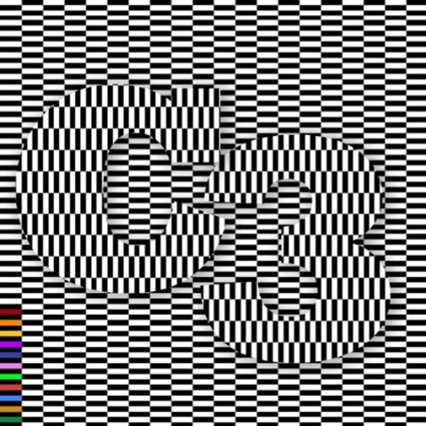 C3 MOTION STUDY CD