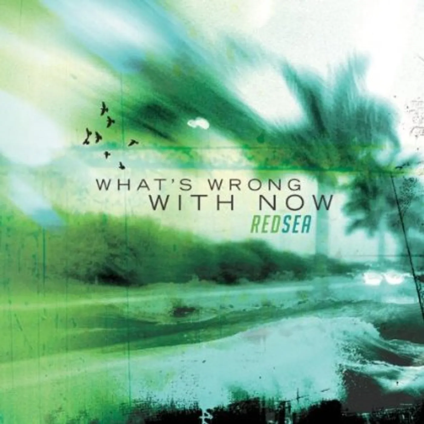 Red Sea WHAT'S WRONG WITH NOW CD