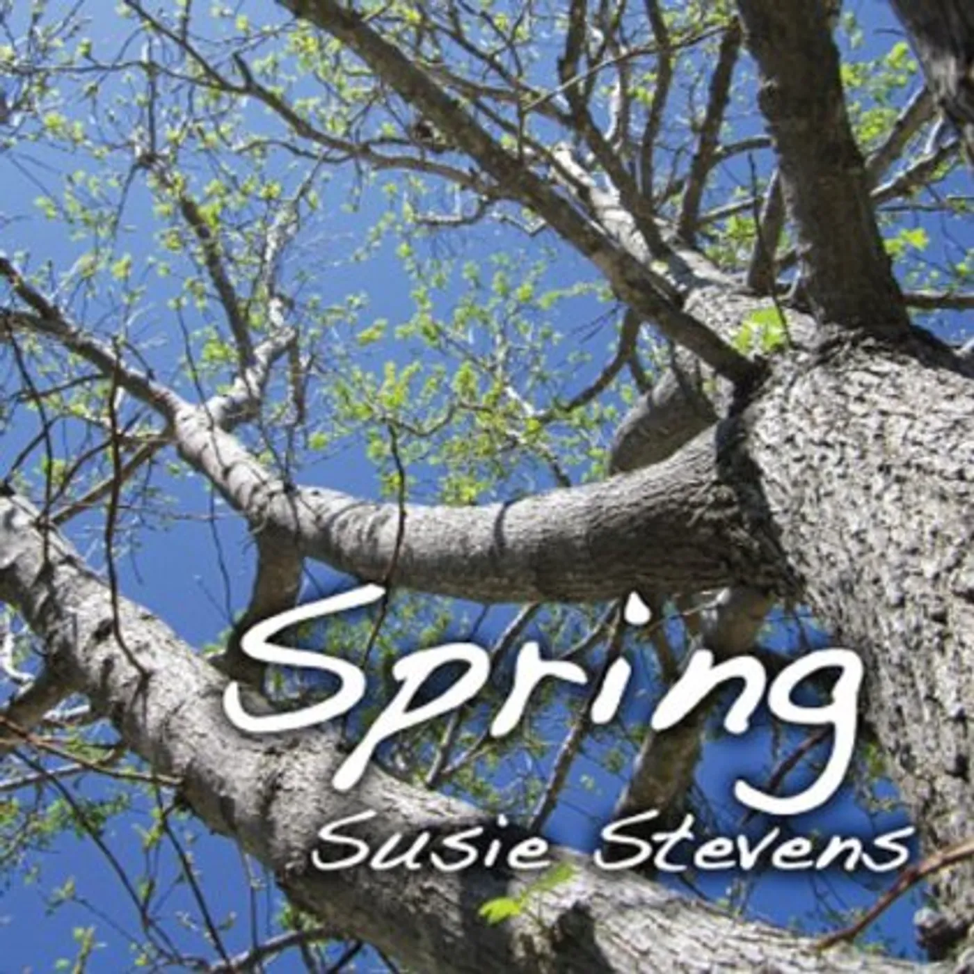 Susie Stevens SPRING CD